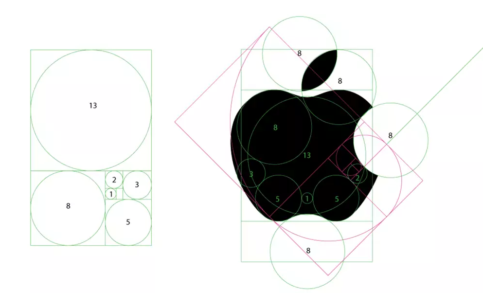 Appple Branding Golden Ratio