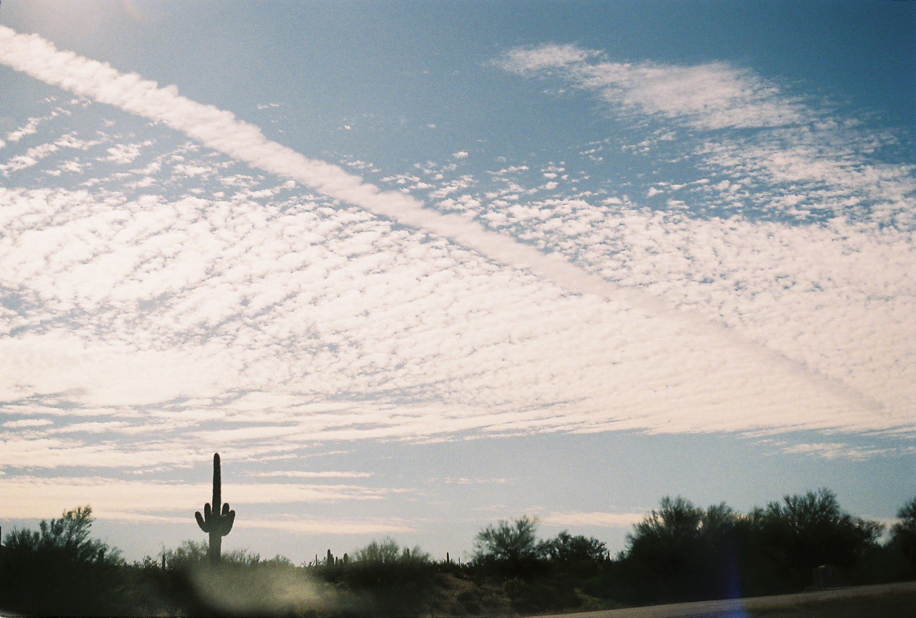 Arizona