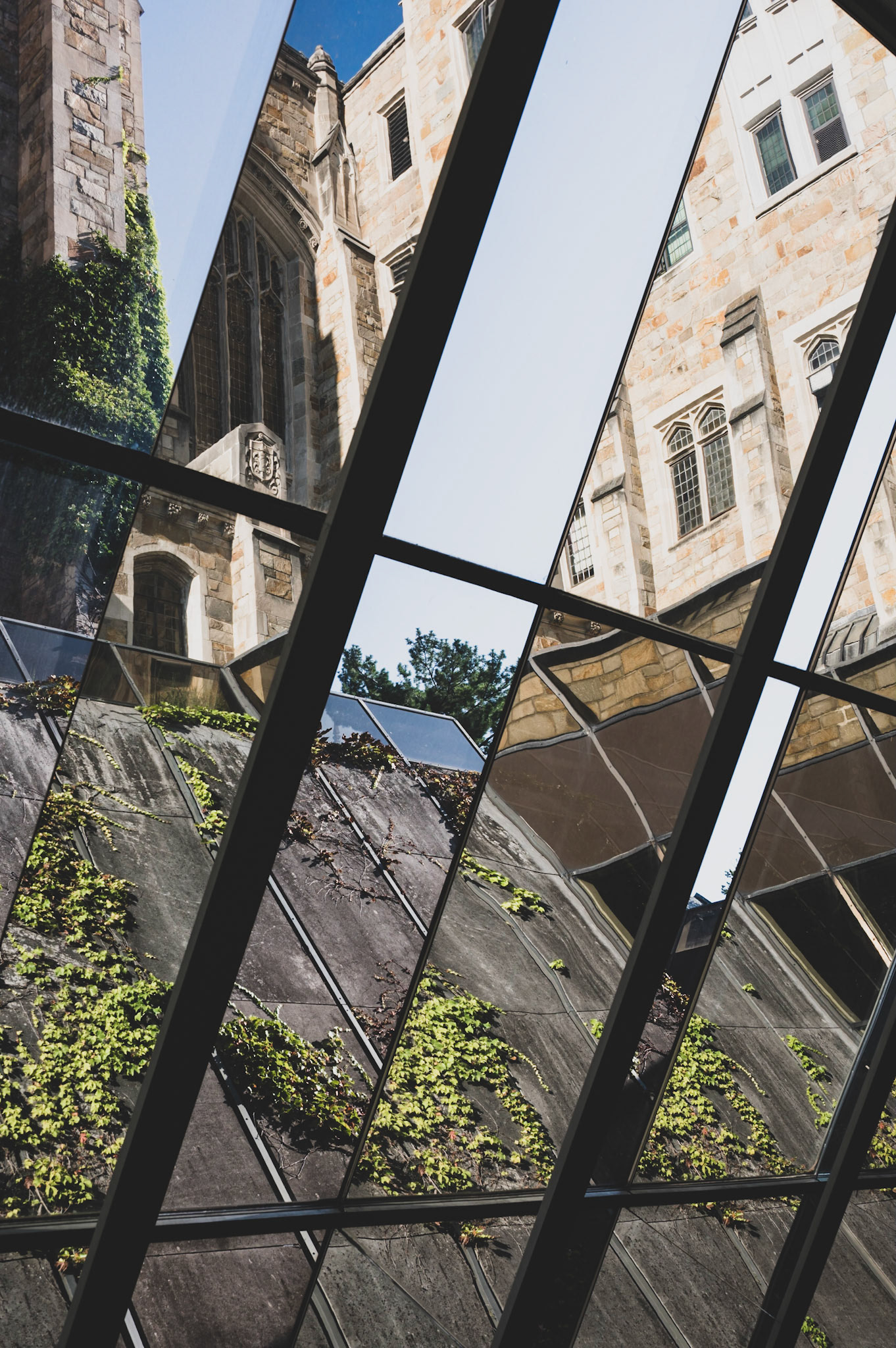 Law School VI - Ann Arbor, Michigan  2021