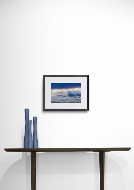 8"x12" print (matte and frame for illustration only)