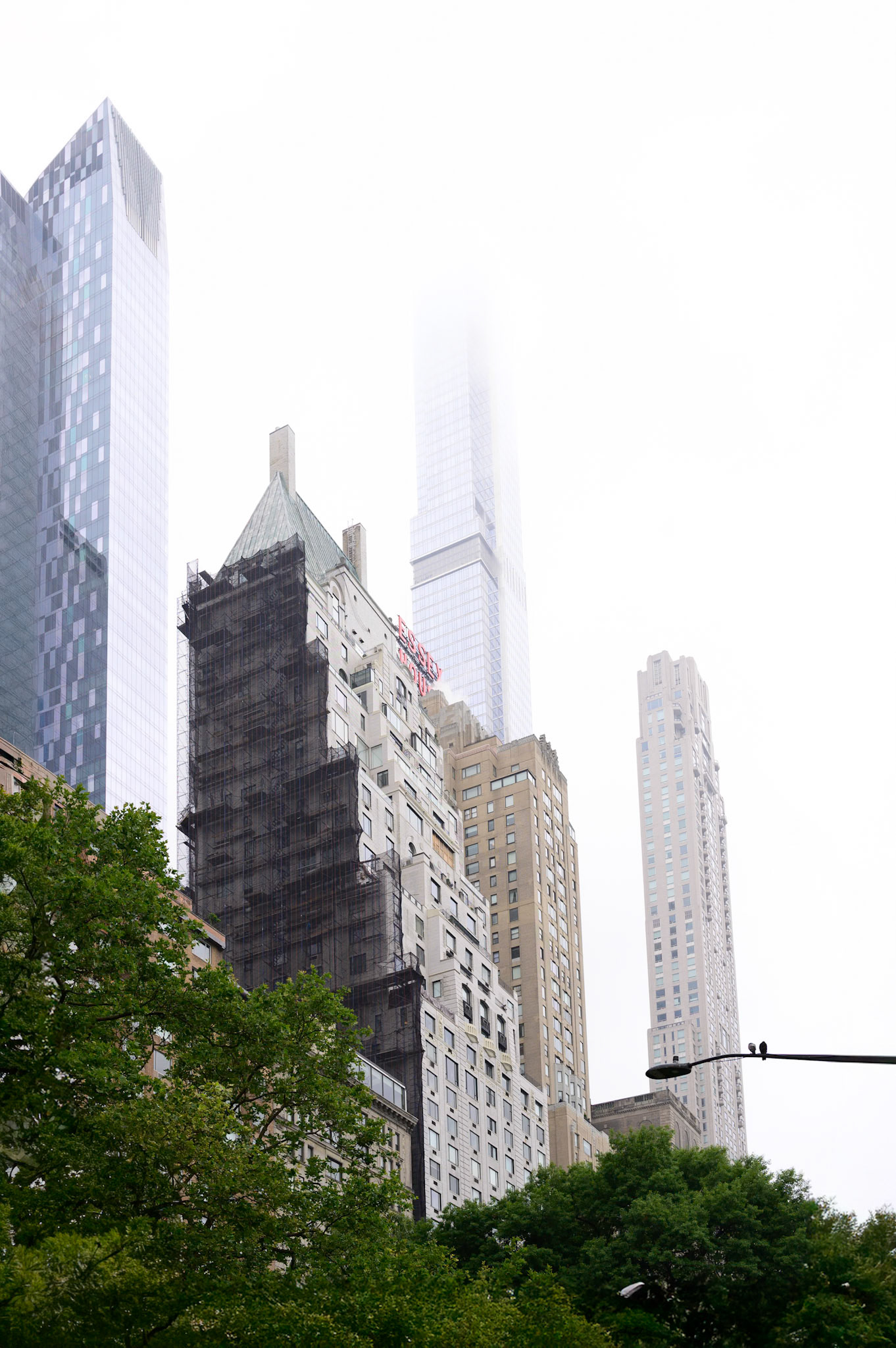 Two Birds of a Feather