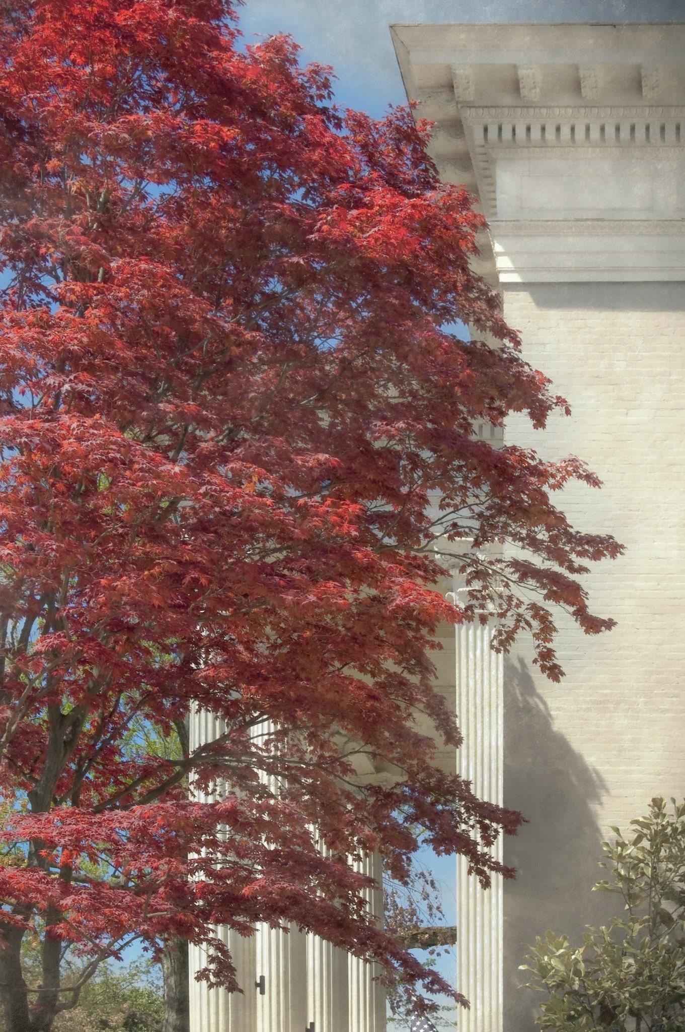 Harmony - Covington, Kentucky 2009