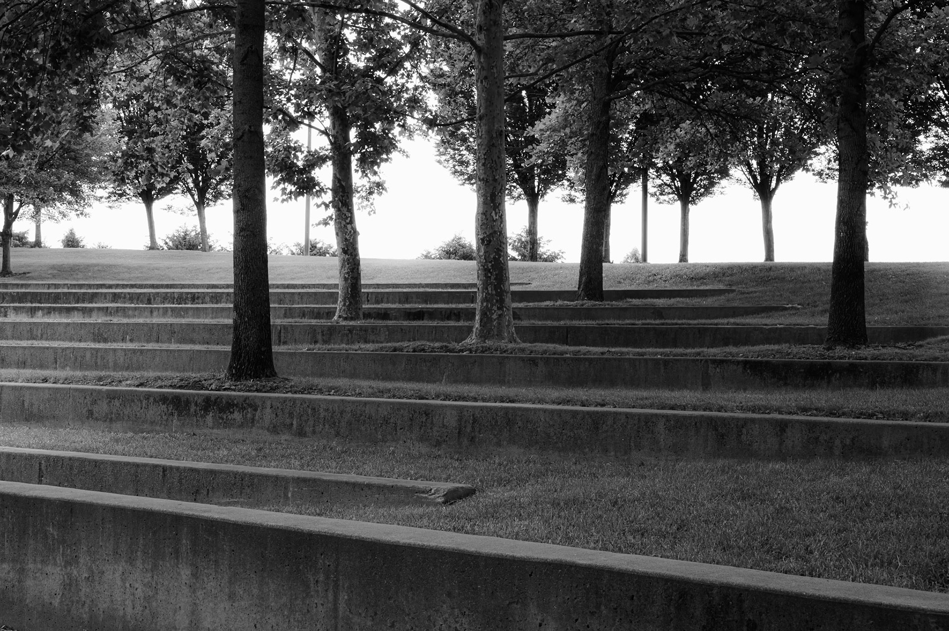 Trees and Walls - Louisville, Kentucky 2025