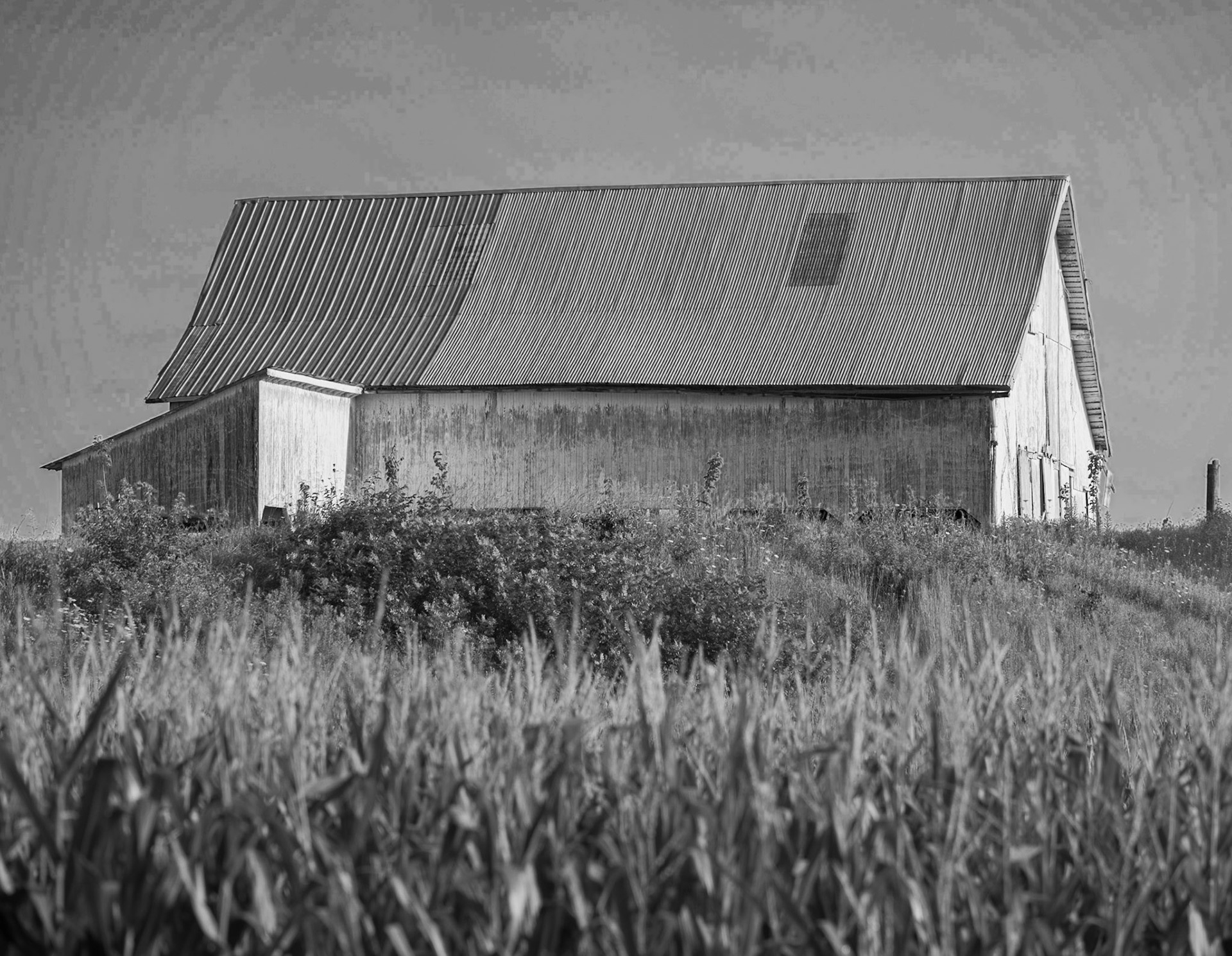 Barn Black and White - Indiana 2021