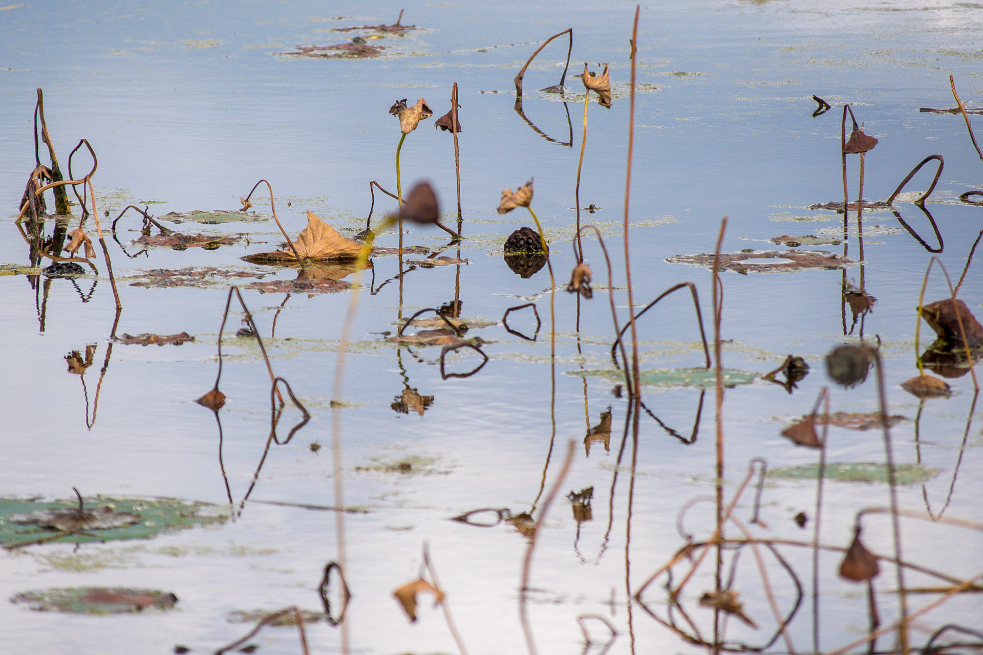 Print