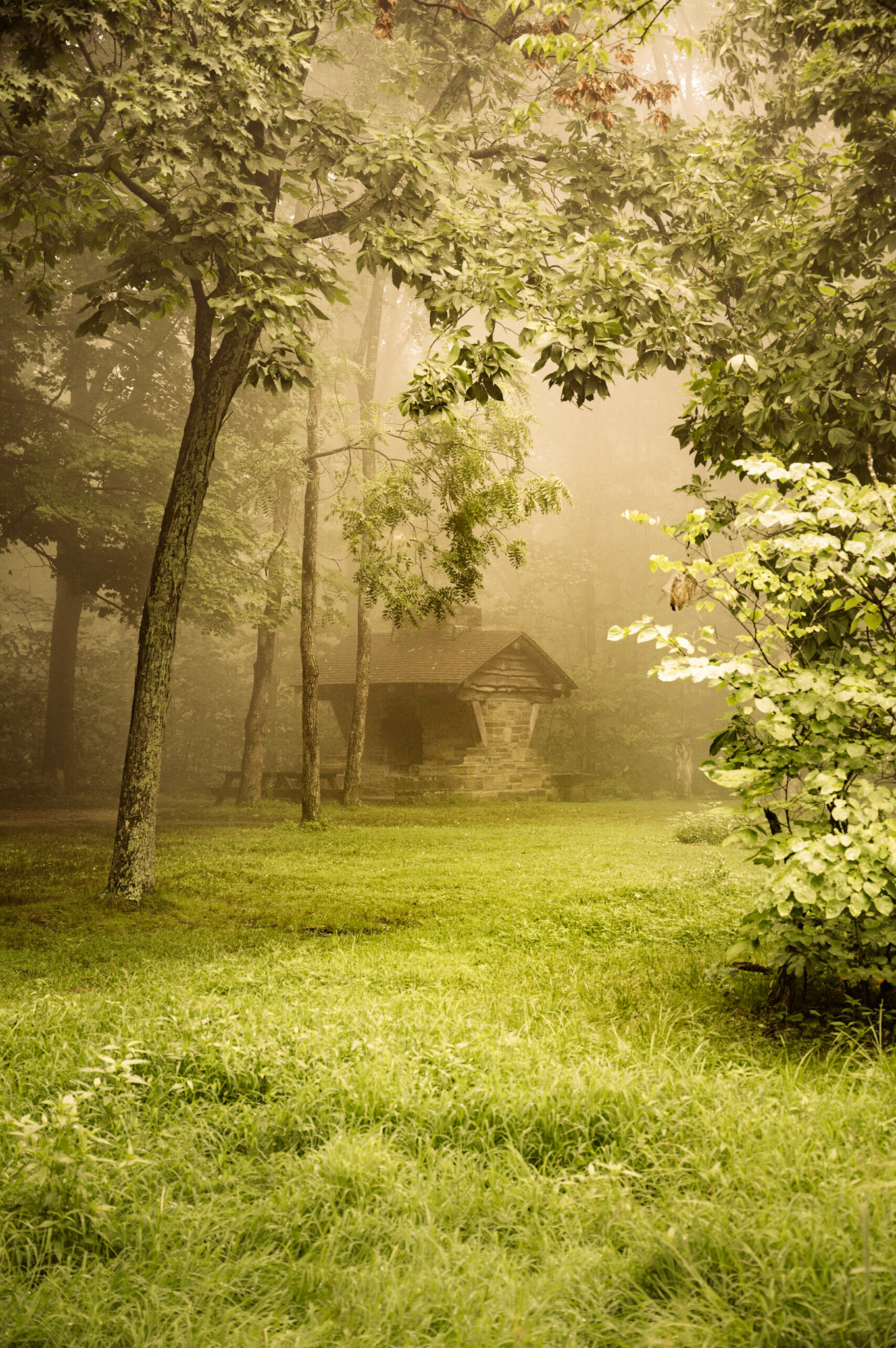 Spring Shelter - Brown County, Indiana  2020