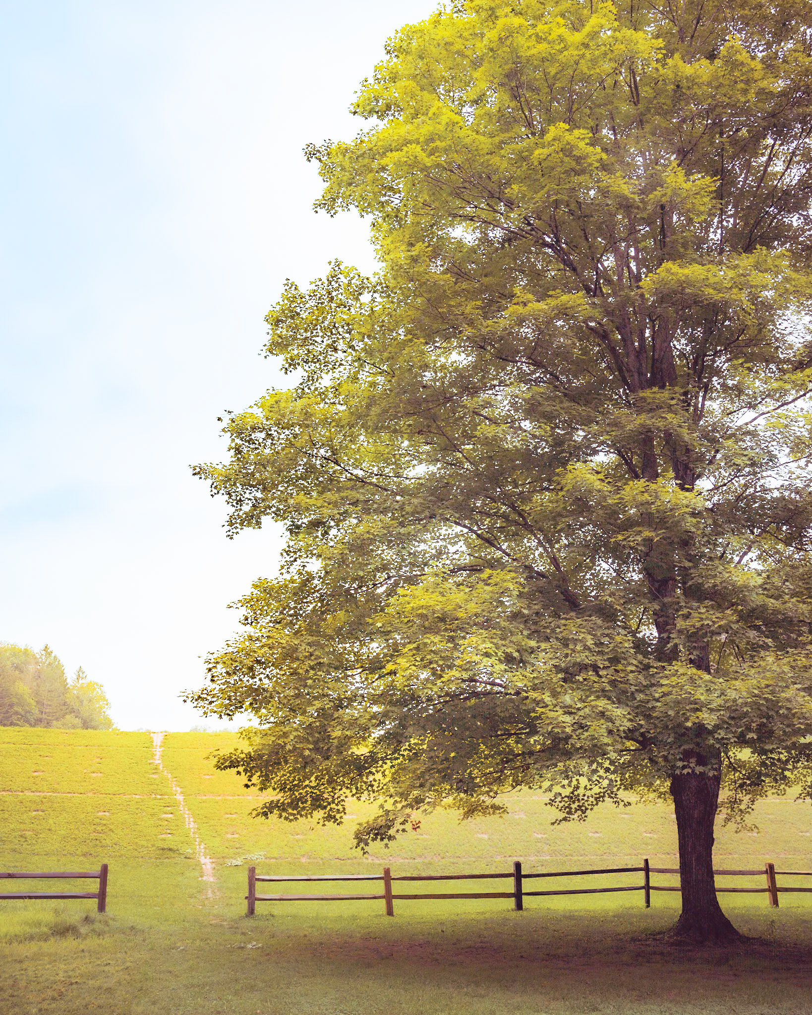 Gateway - Brown County, Indiana  2020