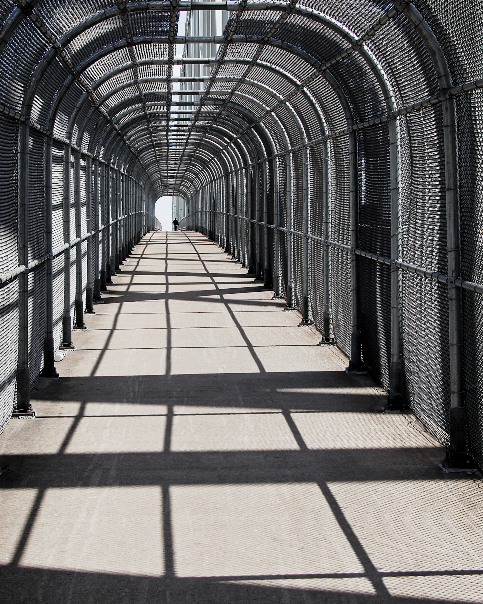 Bridge to Kentucky -  Cincinnati, Ohio