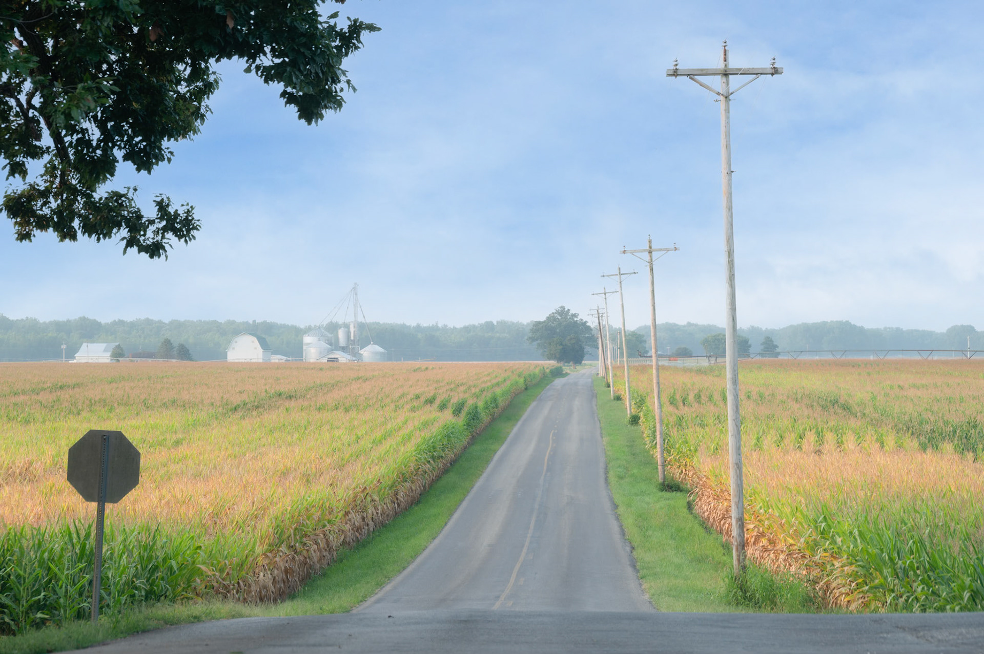 Stop Sign - Indiana 2021
