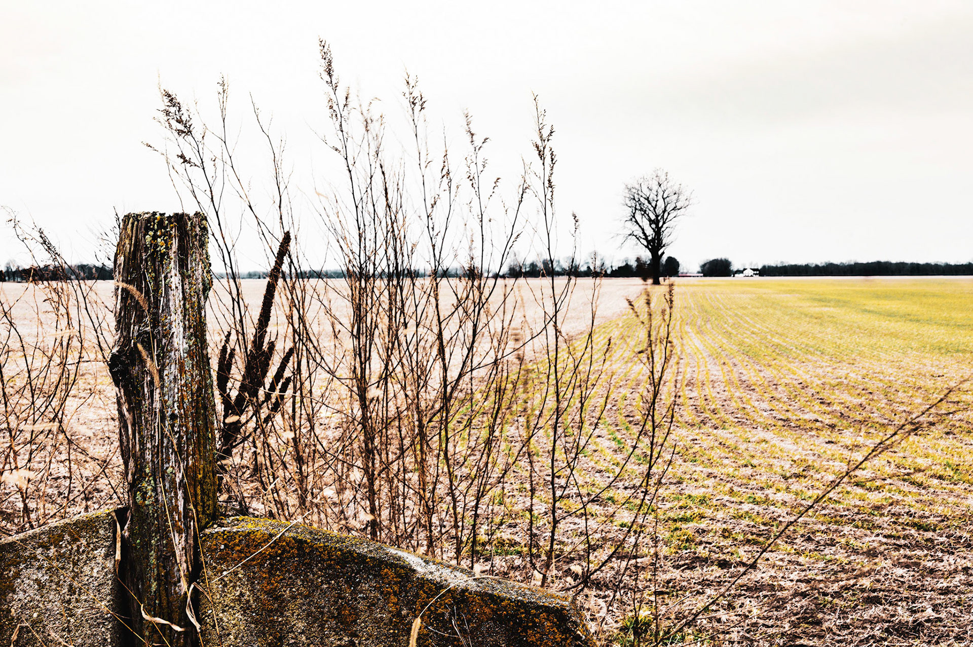 Post Line - Bartholomew County, Indiana 2023