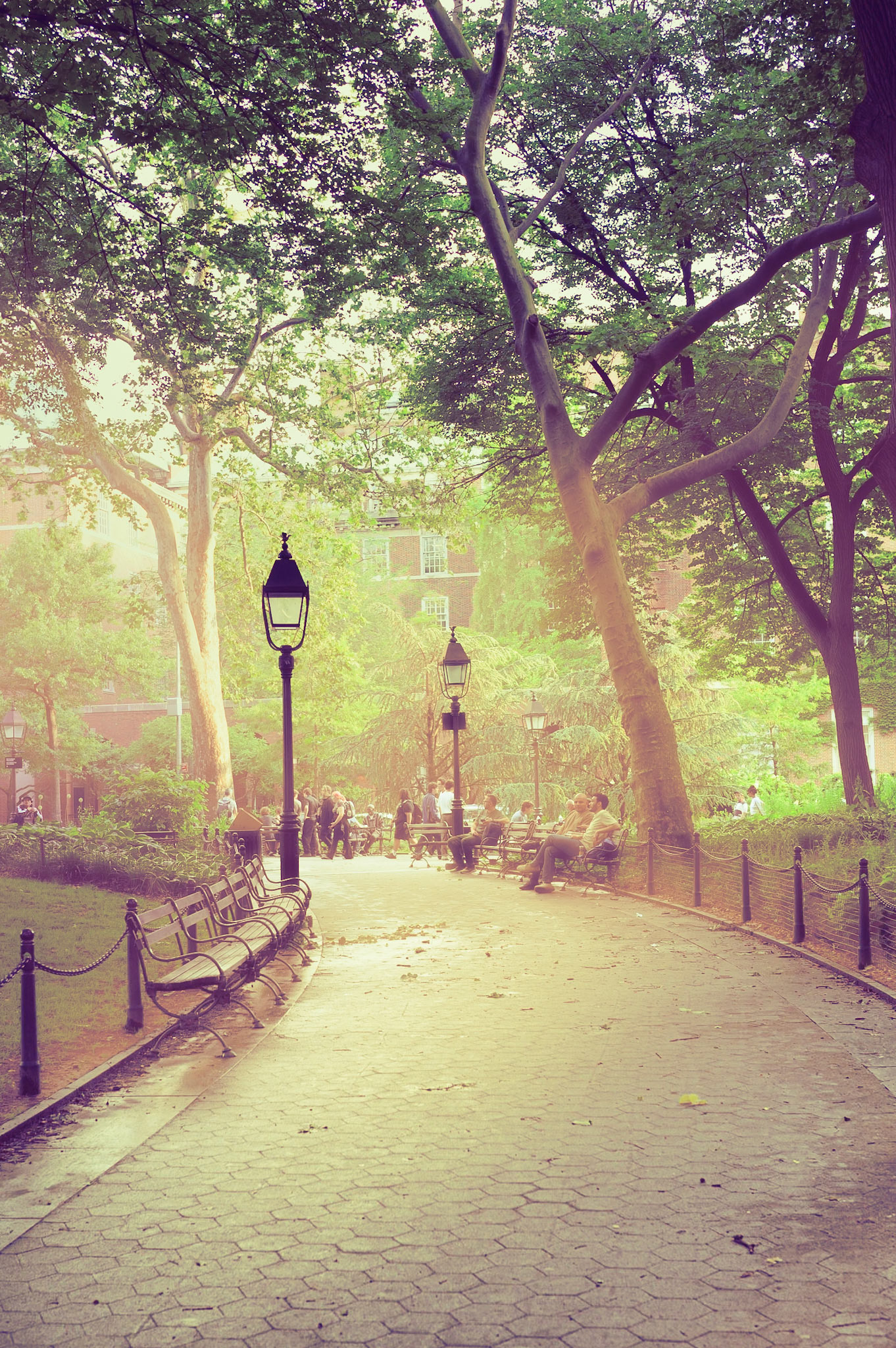 Afternoon - Washington Square
