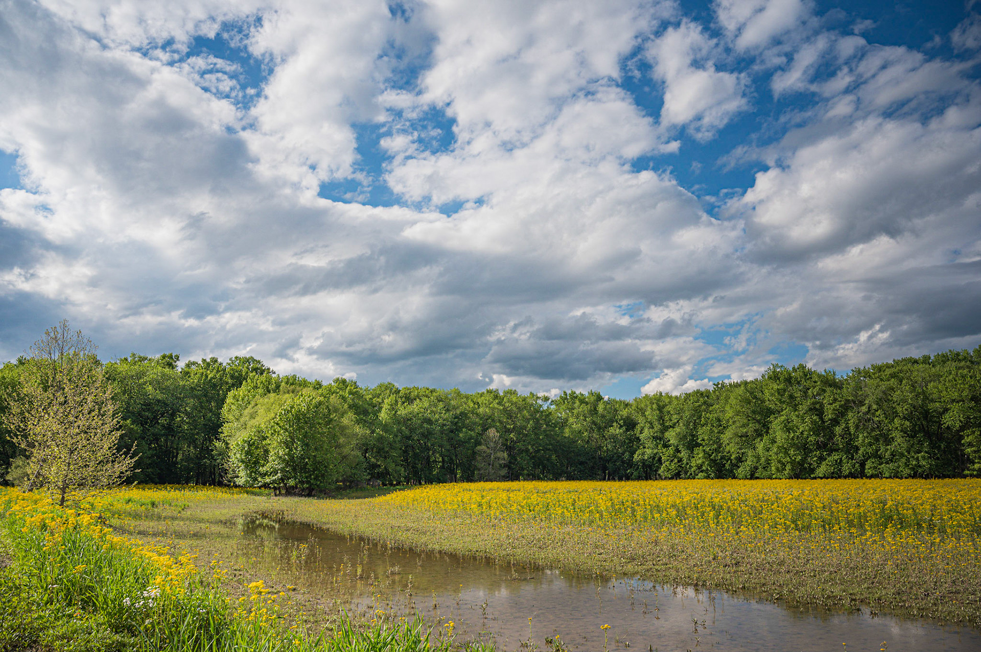 Meadow I - Monroe County, Indiana