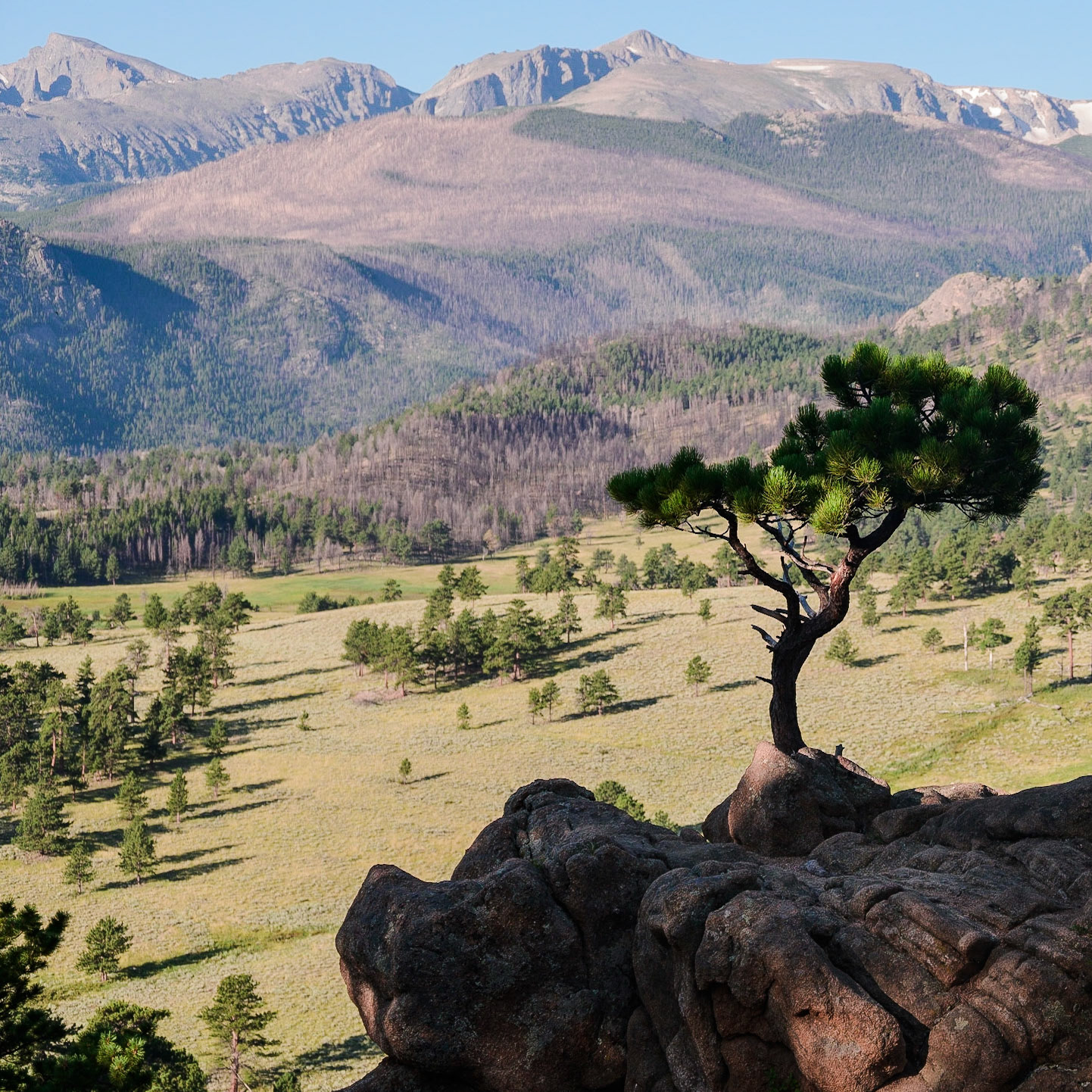 Estes Vista - Rocky Mountain National Park, Colorado  2023