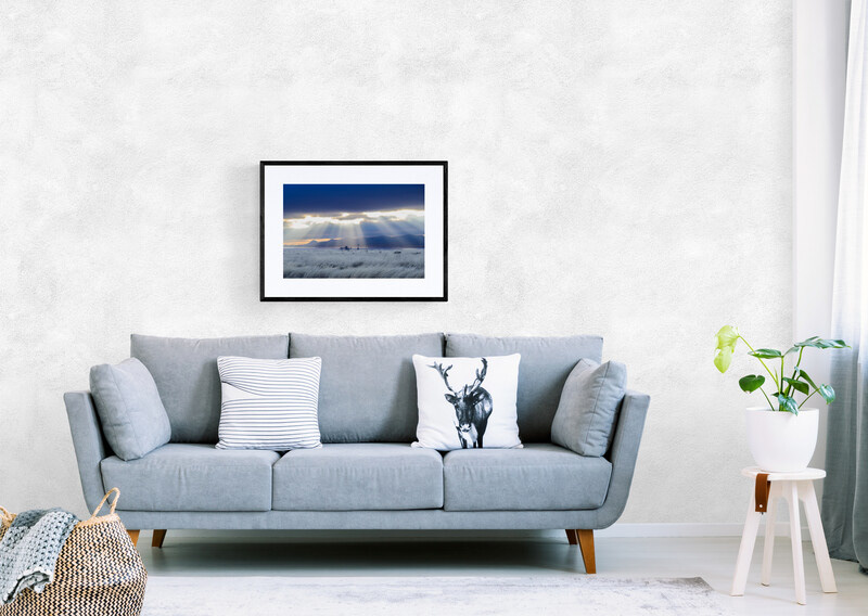 16"x24" print (matte and frame for illustration only)