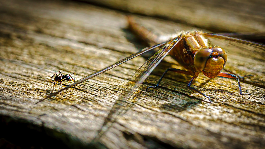 boarding for takeoff