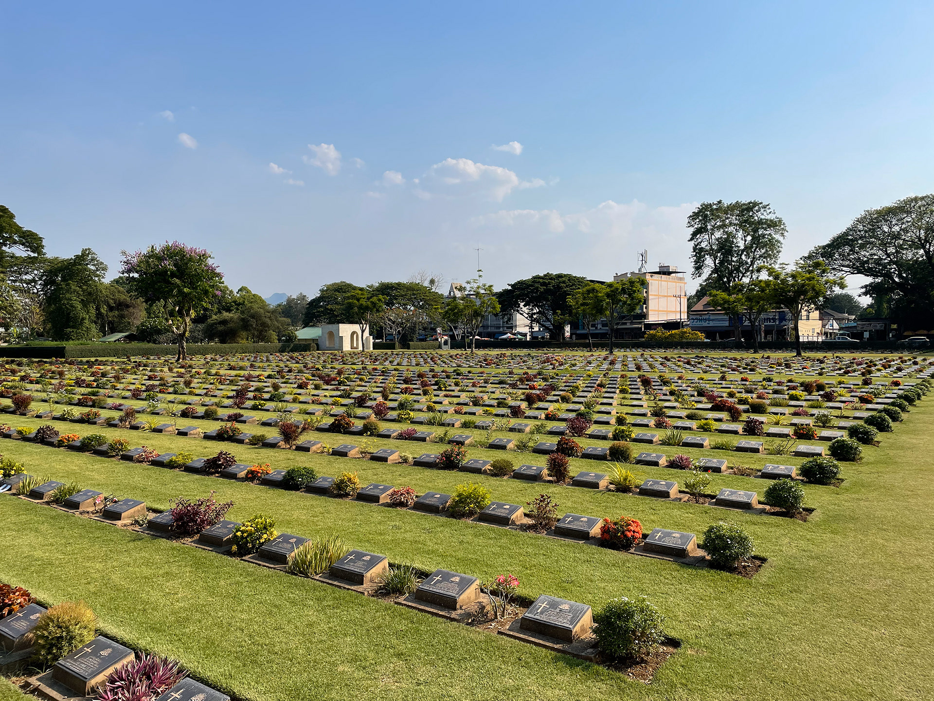 The many that didn't come home