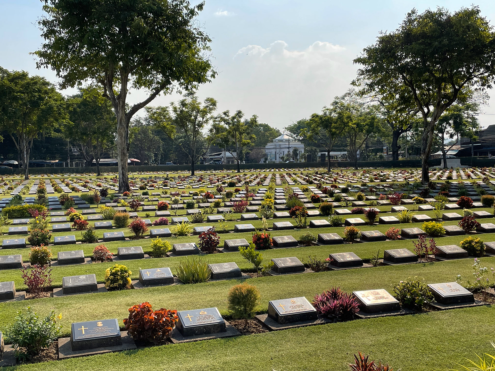 The many that didn't come home