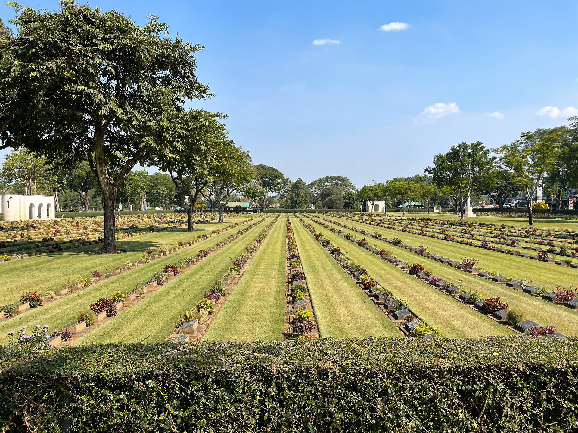 The many that didn't come home