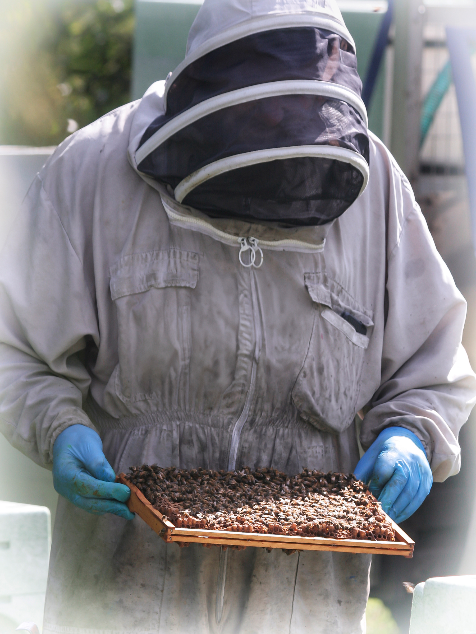 Bee Happy in your work!