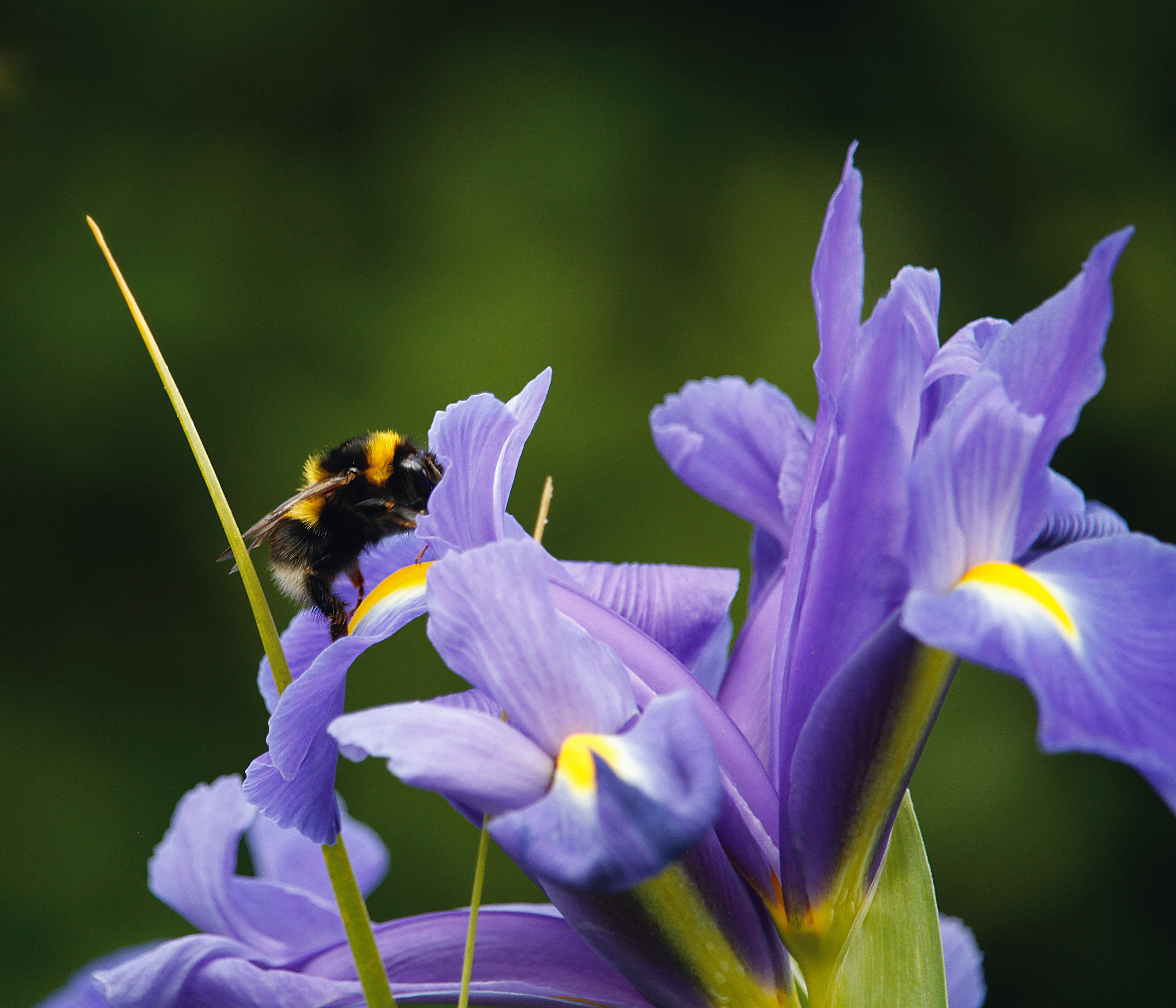 Springtime at last