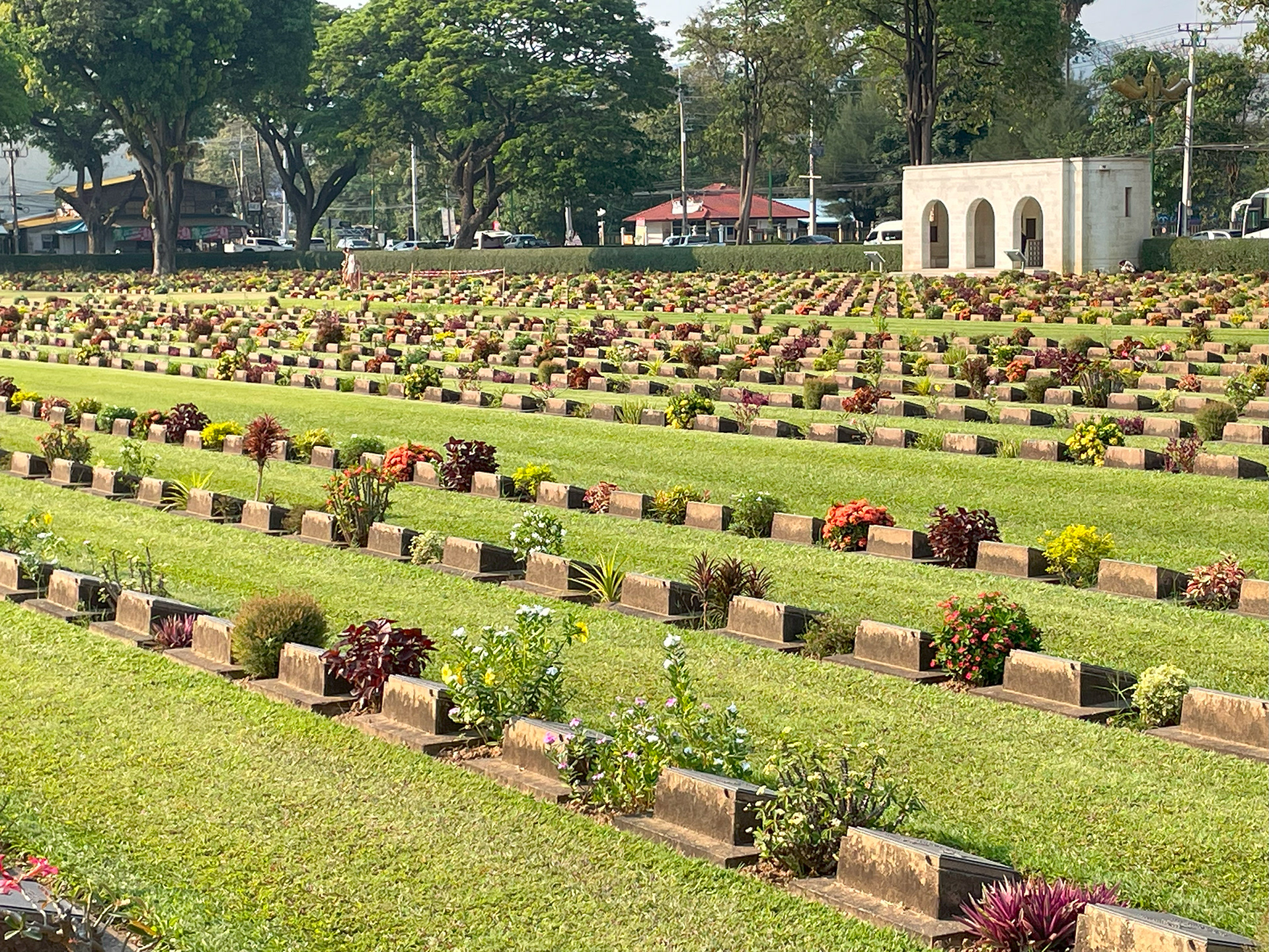 The many that didn't come home