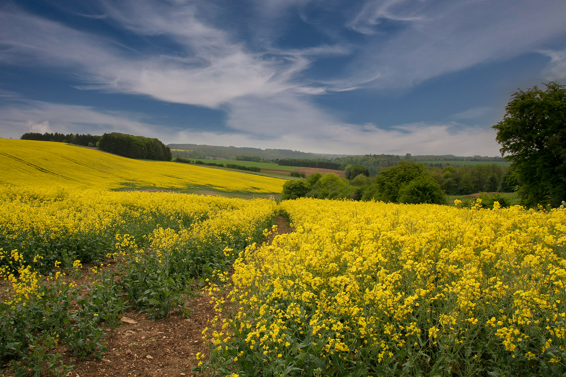 Where else but the beautiful Cotswolds?