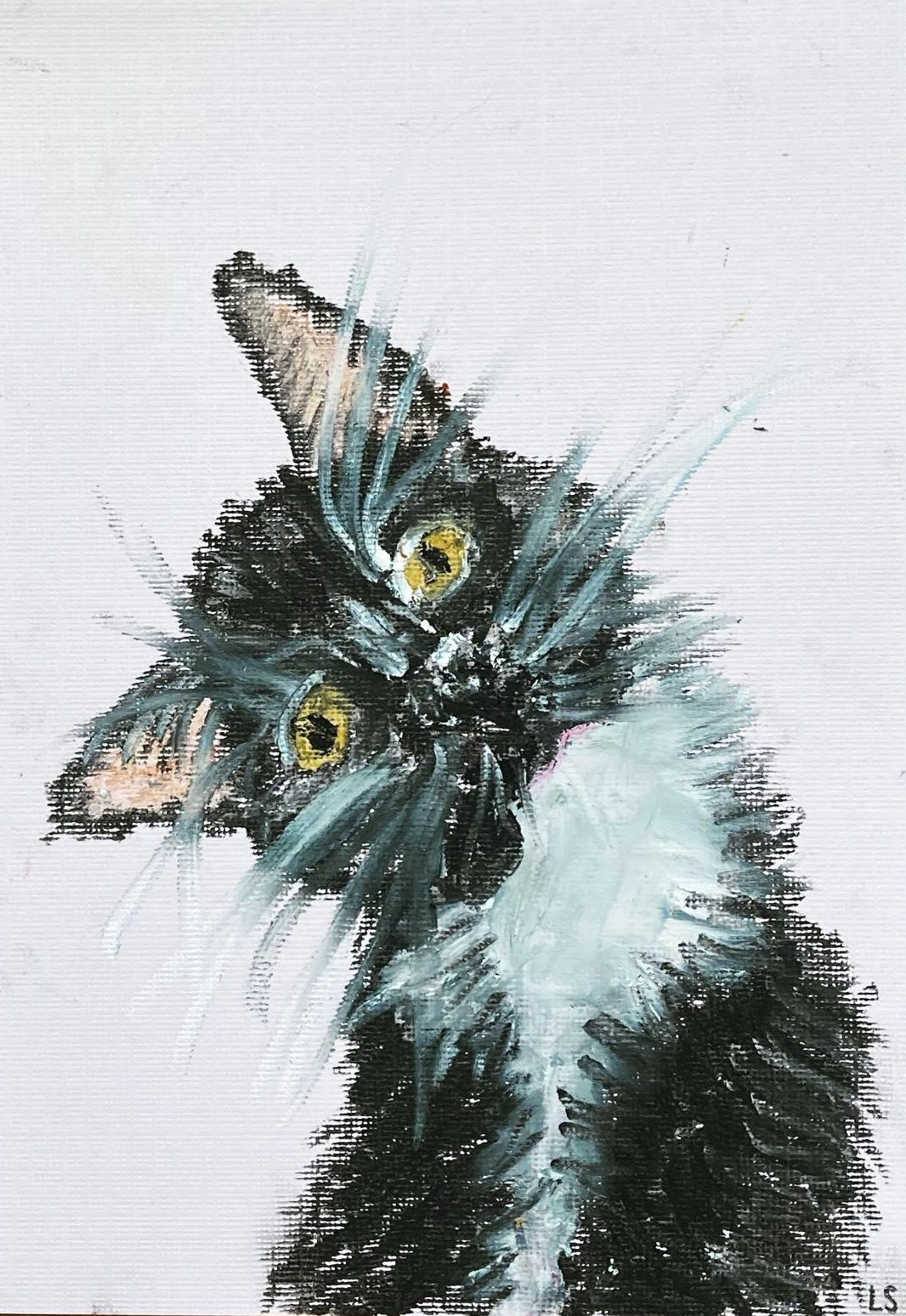 curious kitty, oil pastel