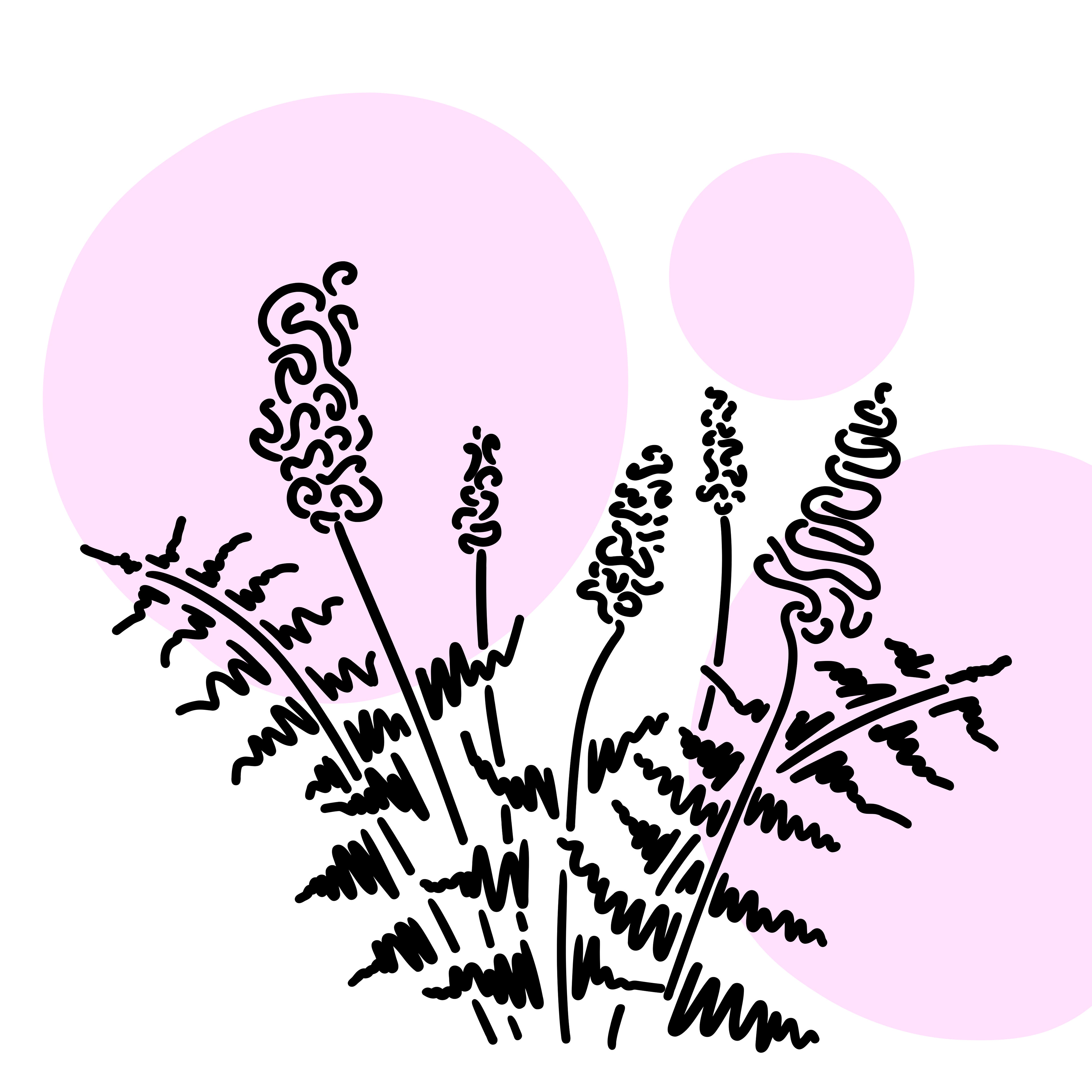 Lavender doodles