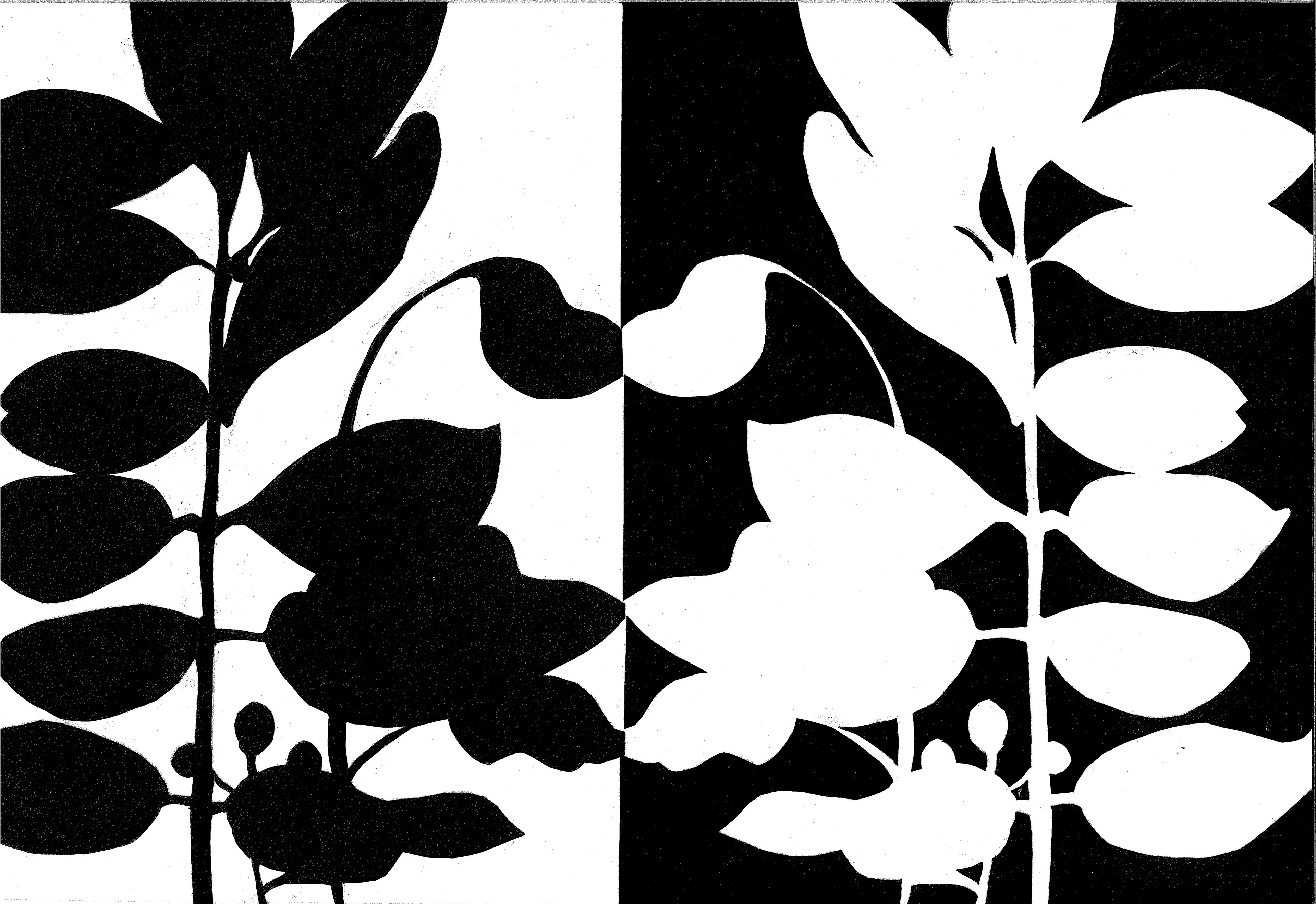Black and white paper