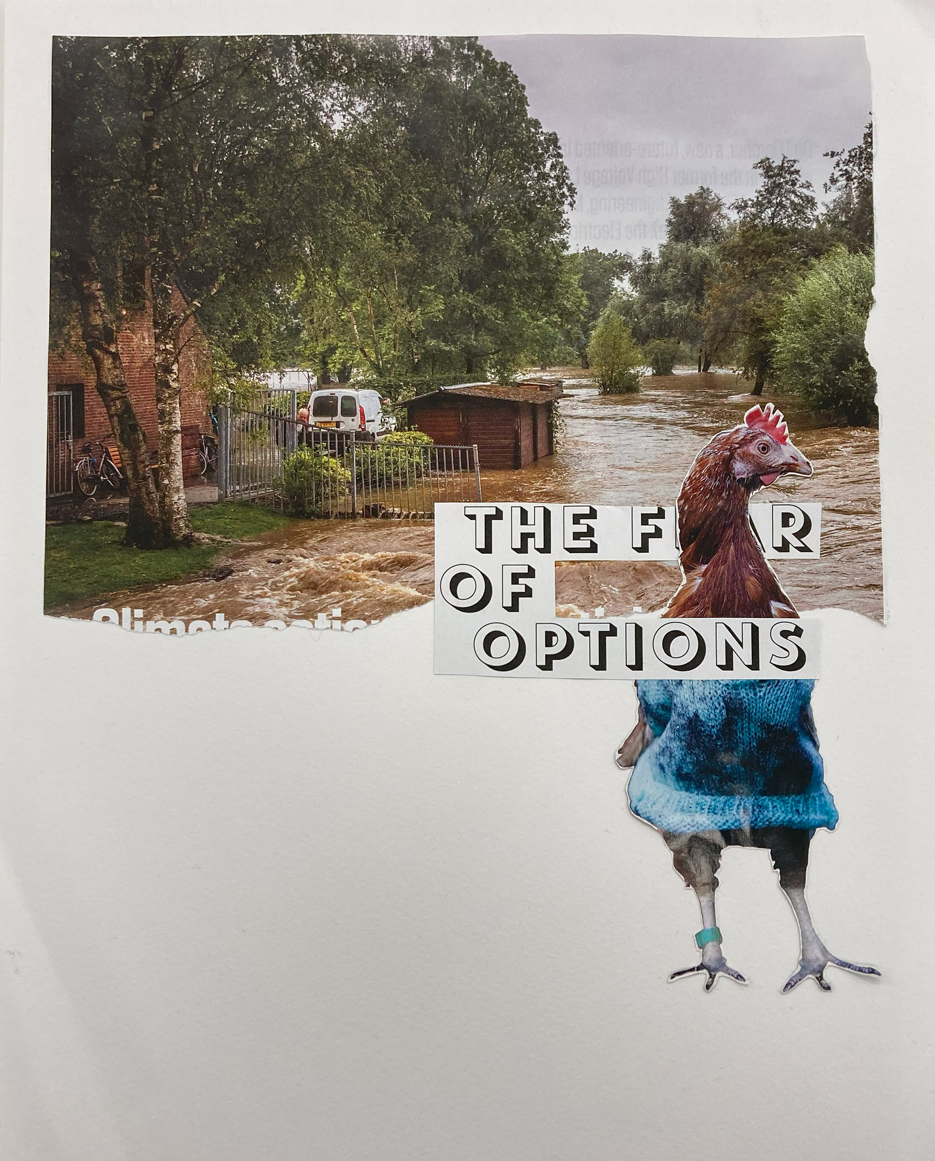 magazine collage (peep the chicken in a sweater!)