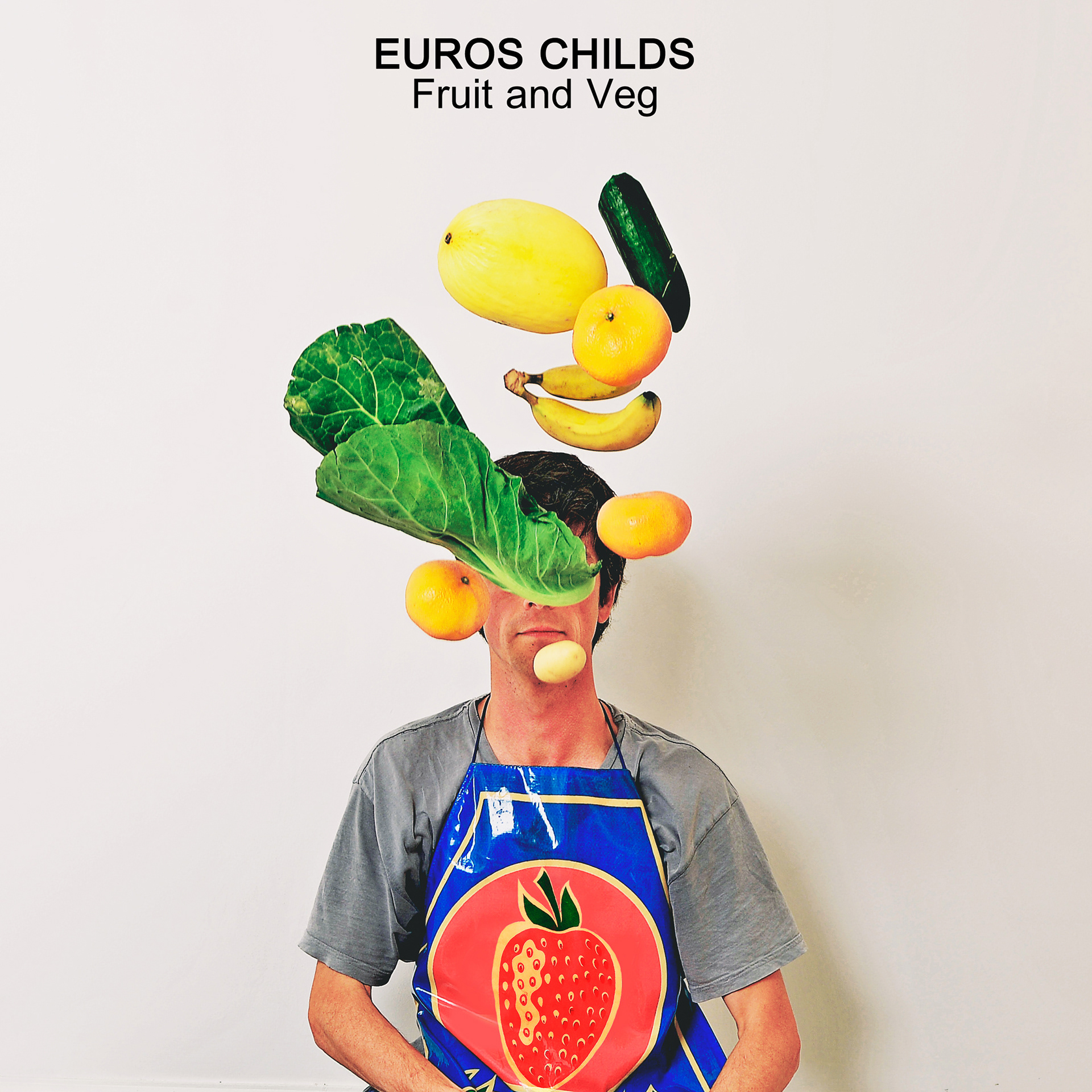 Photoshoot of the Musician Euros Childs