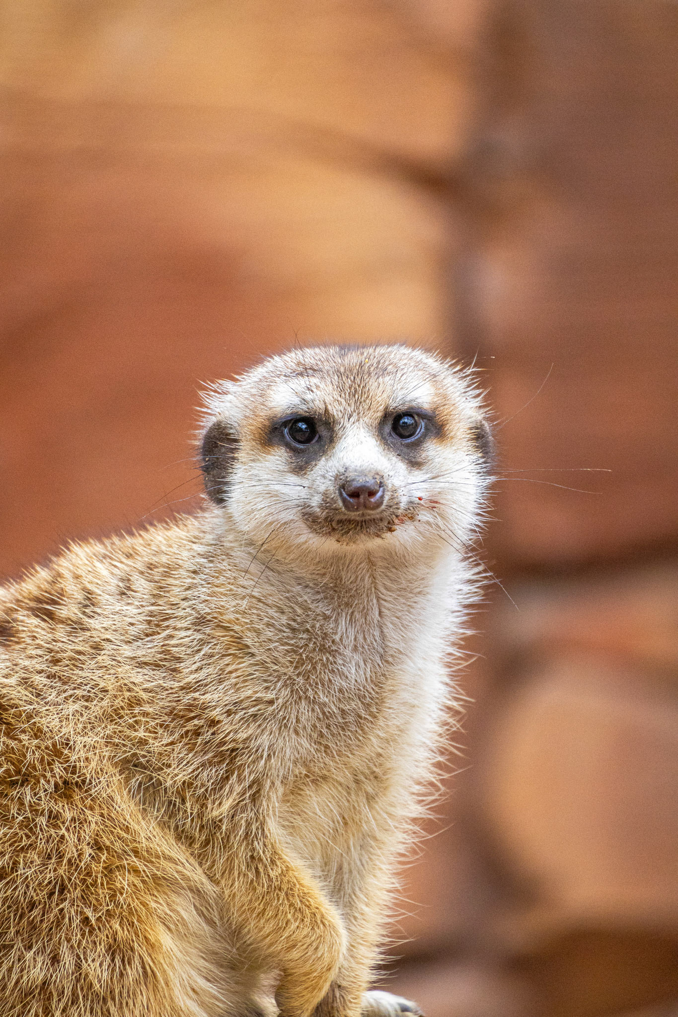 Pairidaiza #47