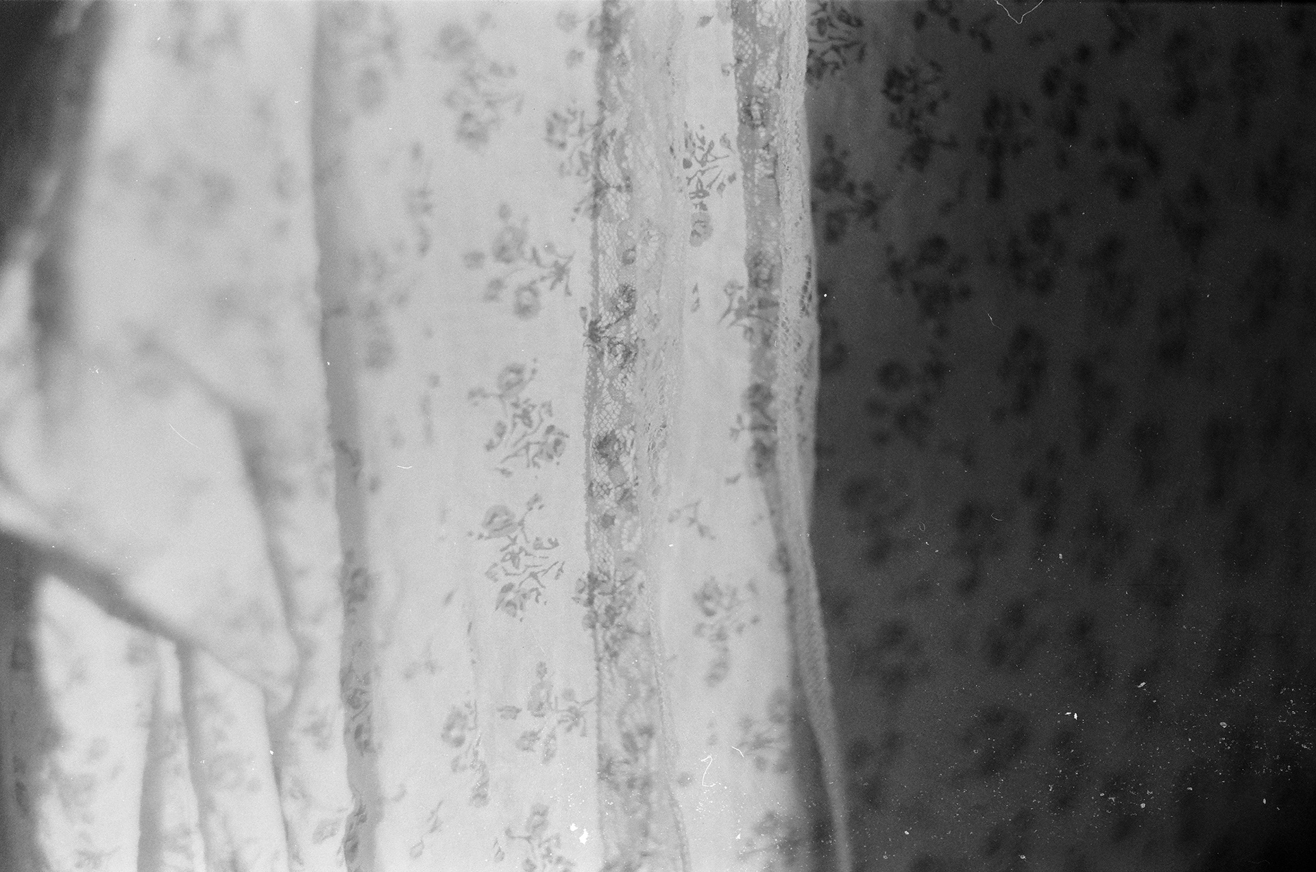 Film Diary (2024)