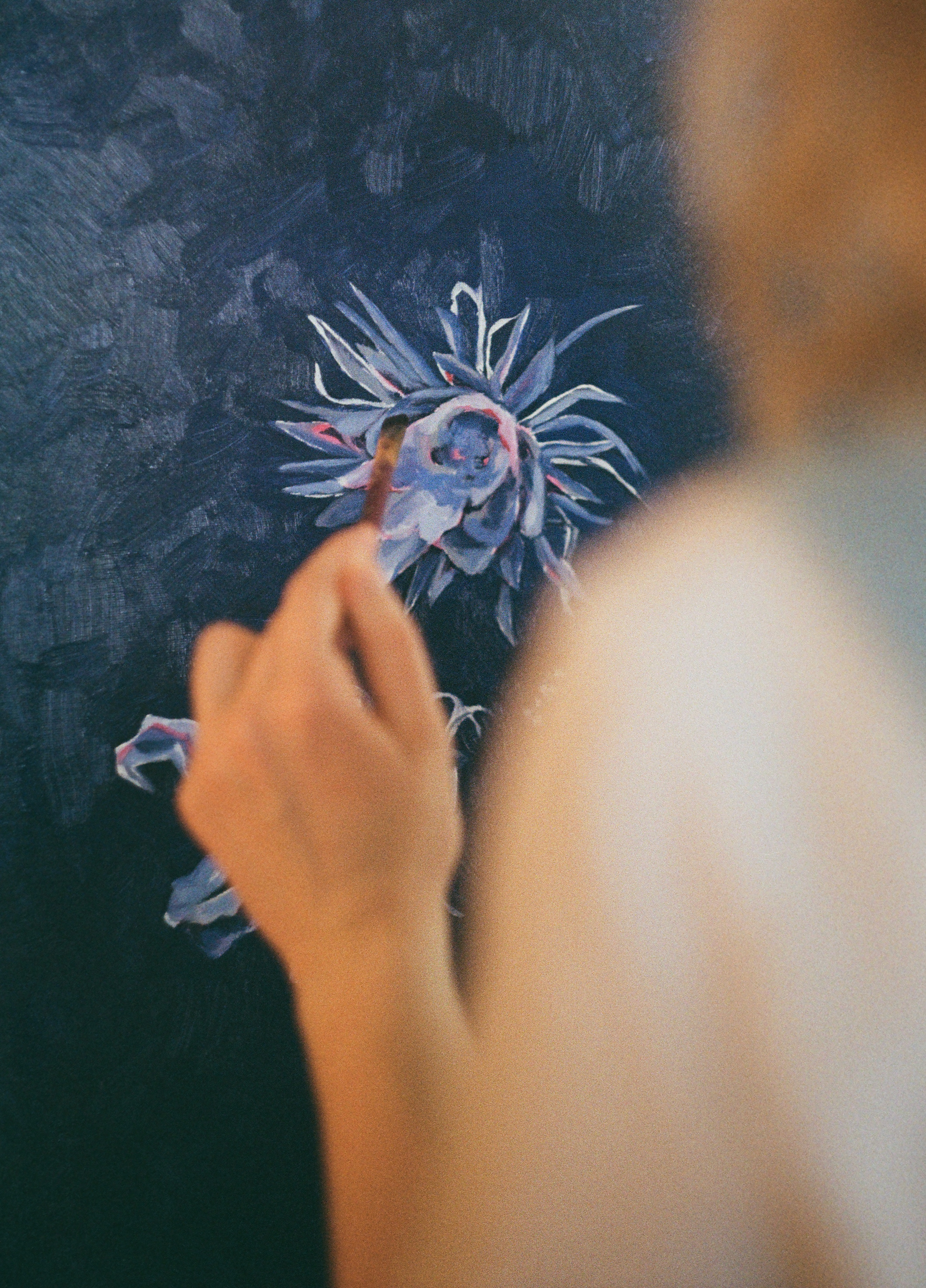 White Daffodil (2024)