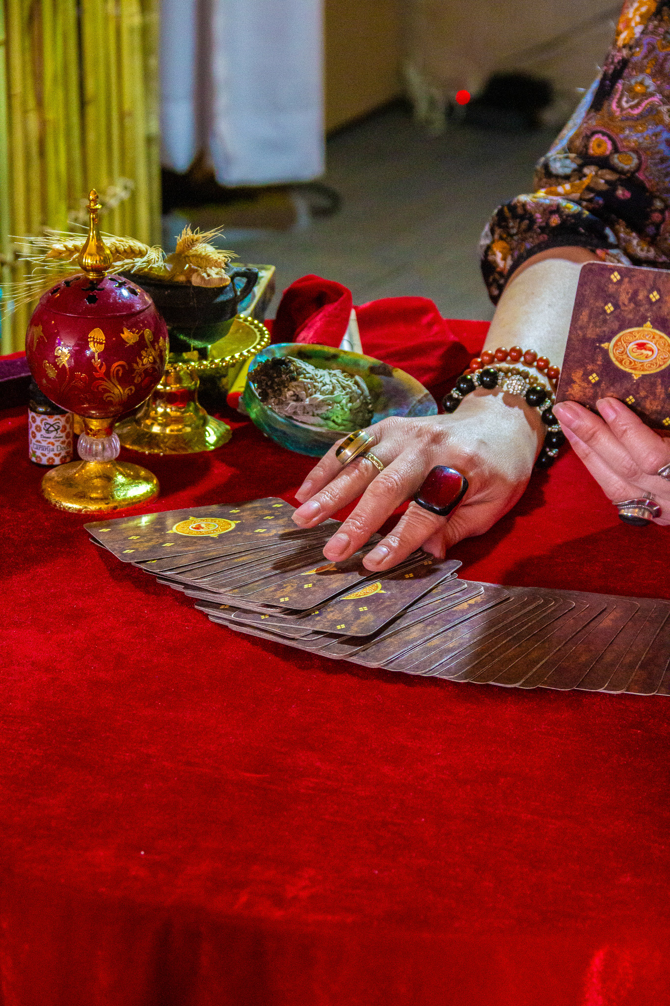 Tomorrowland Brasil, October 2023 - São Paulo, BR