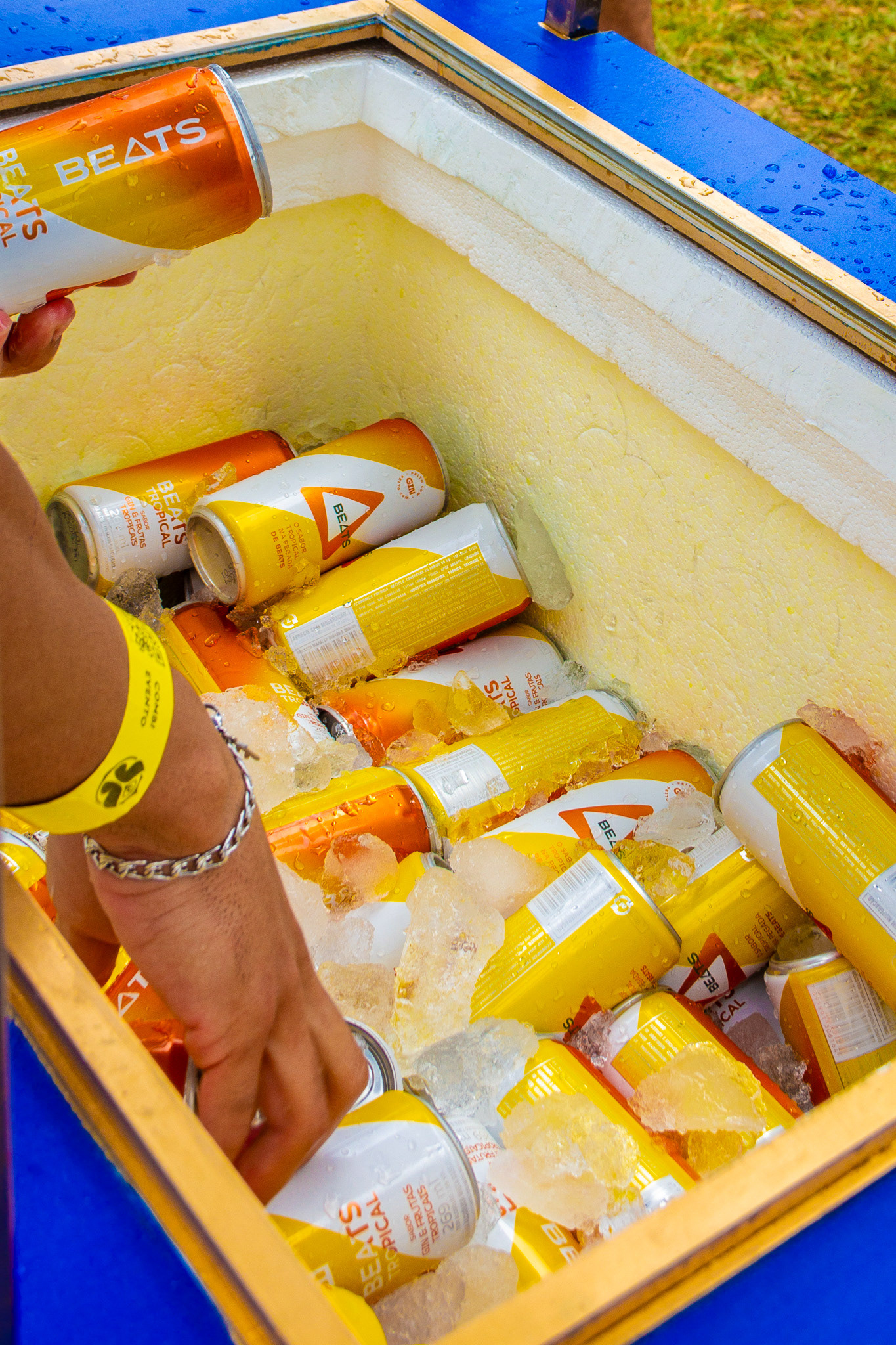 Tomorrowland Brasil, October 2023 - São Paulo, BR