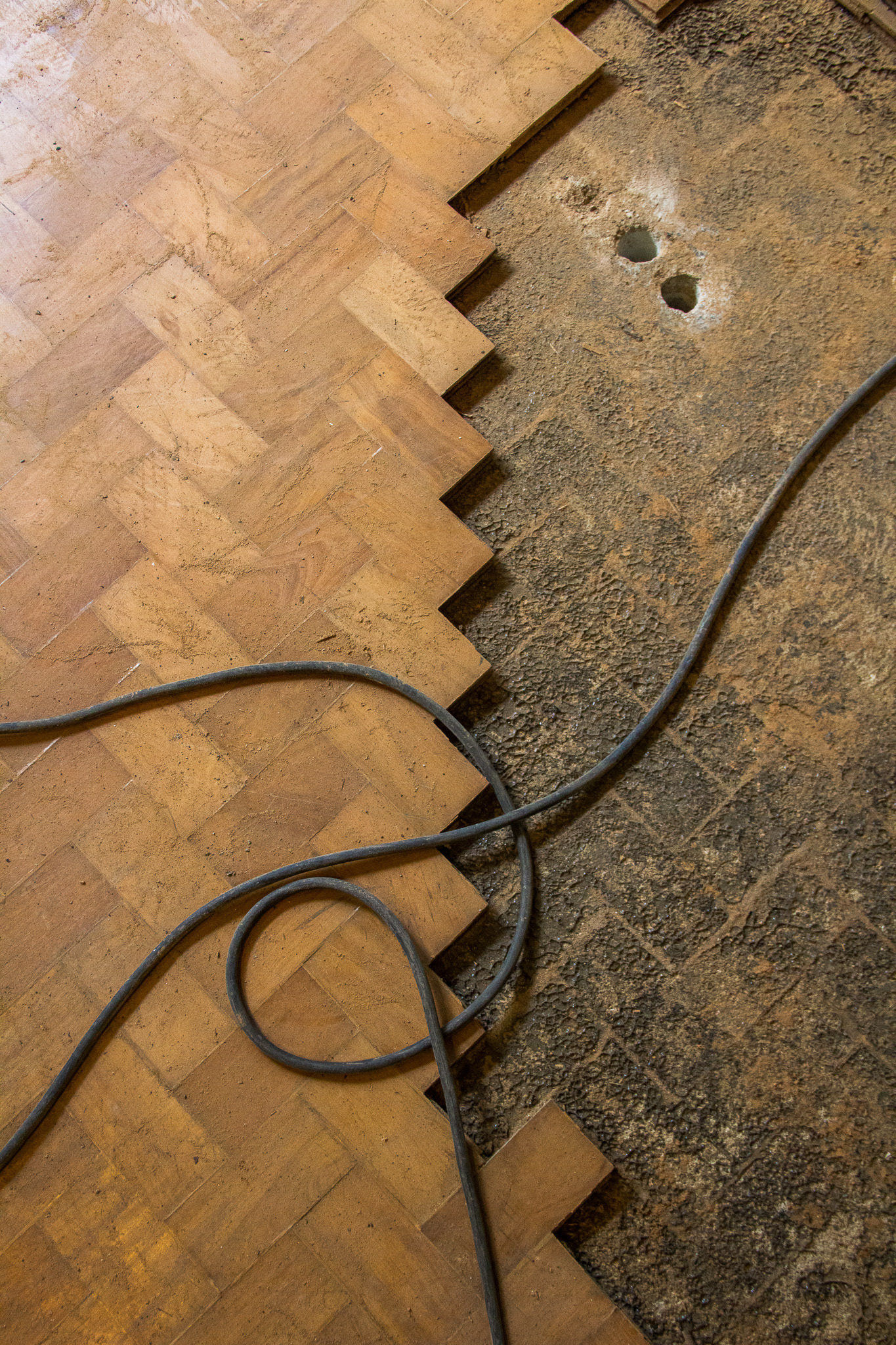 Starlane SP, March 2025 - São Paulo, BR