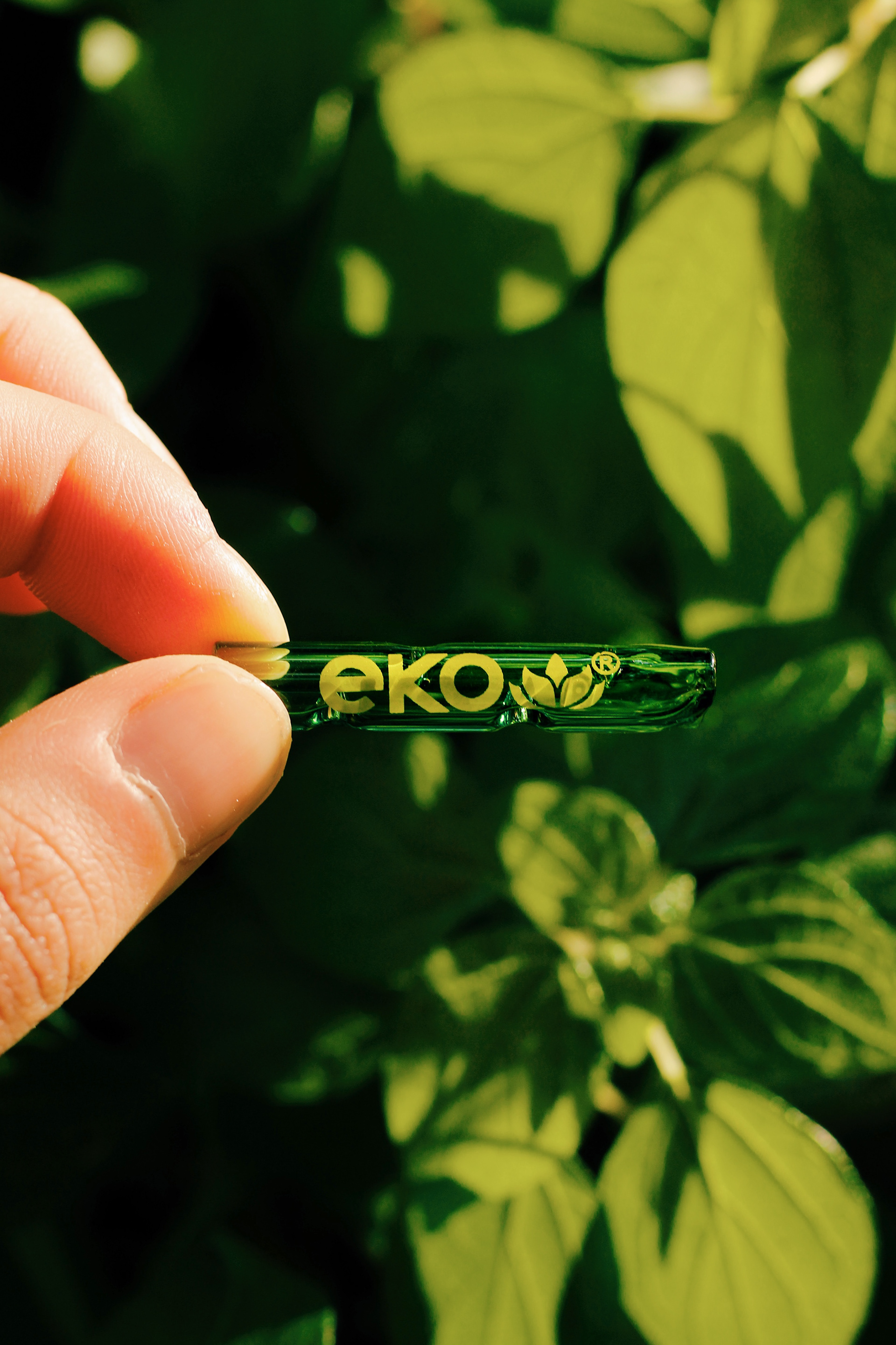 December 2020 for Ekopuffs Brasil - Barcelona, ES