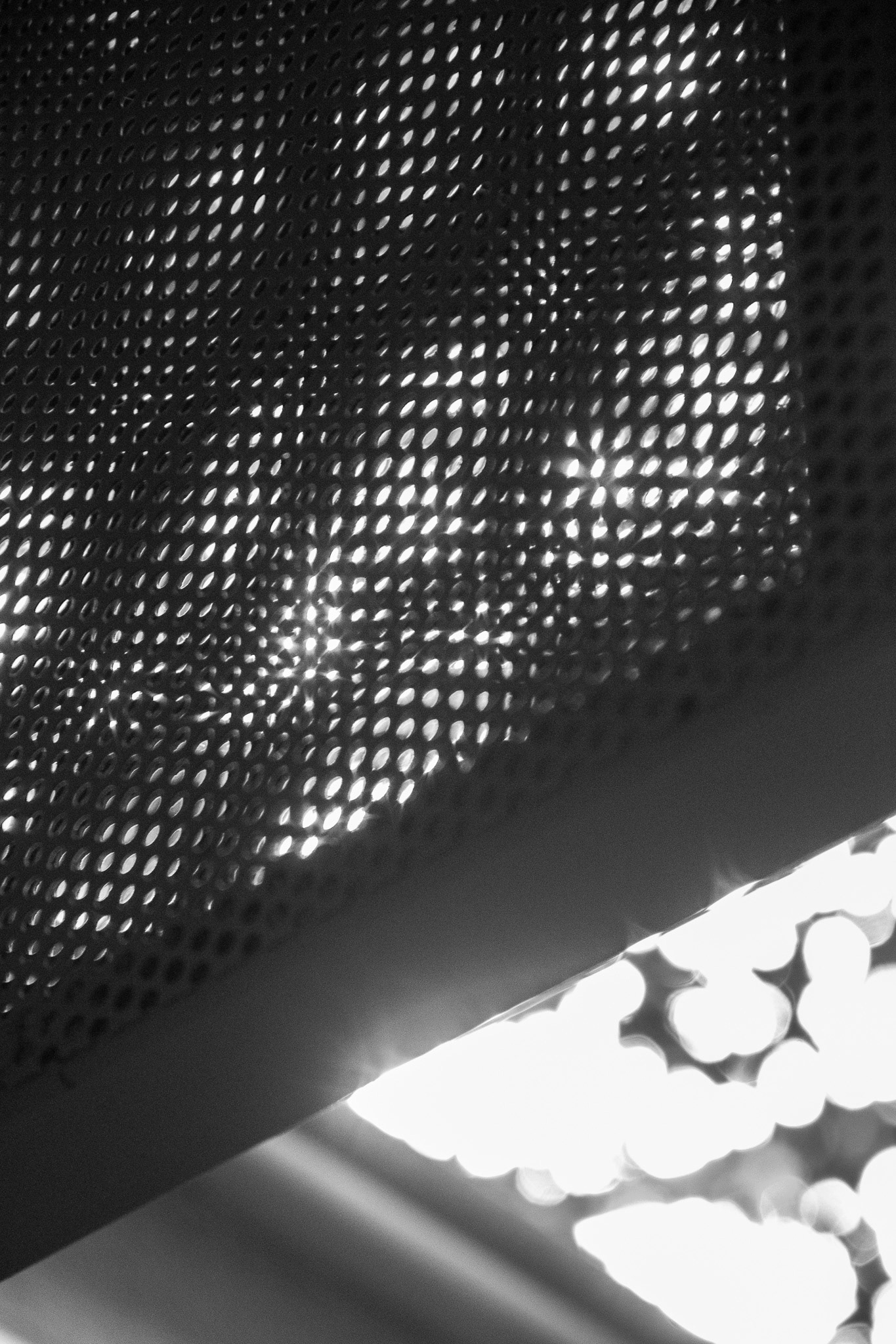 Starlane SP, March 2025 - São Paulo, BR