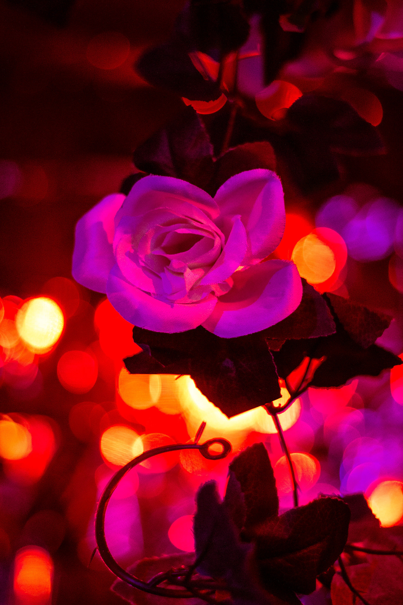 Mixordia, August 2023 - São Paulo, BRMixordia, August 2023 - São Paulo, BR