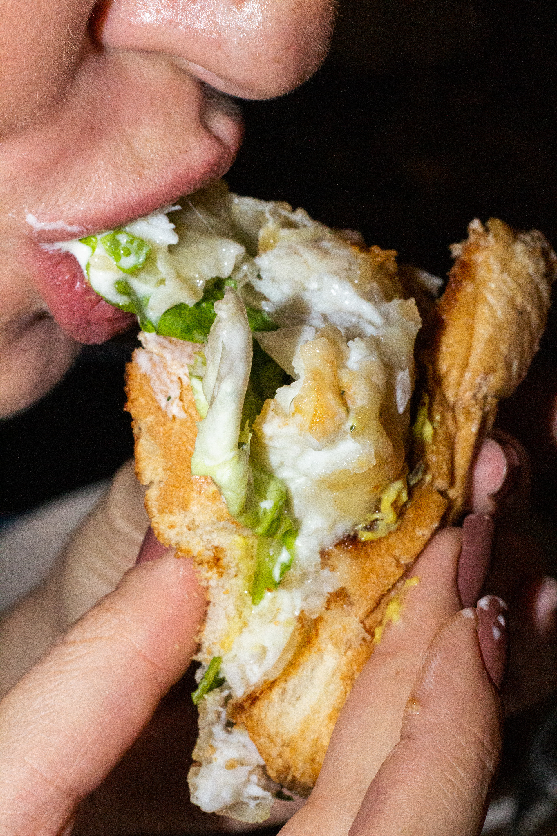 Starlane SP, September 2025 - São Paulo, BR