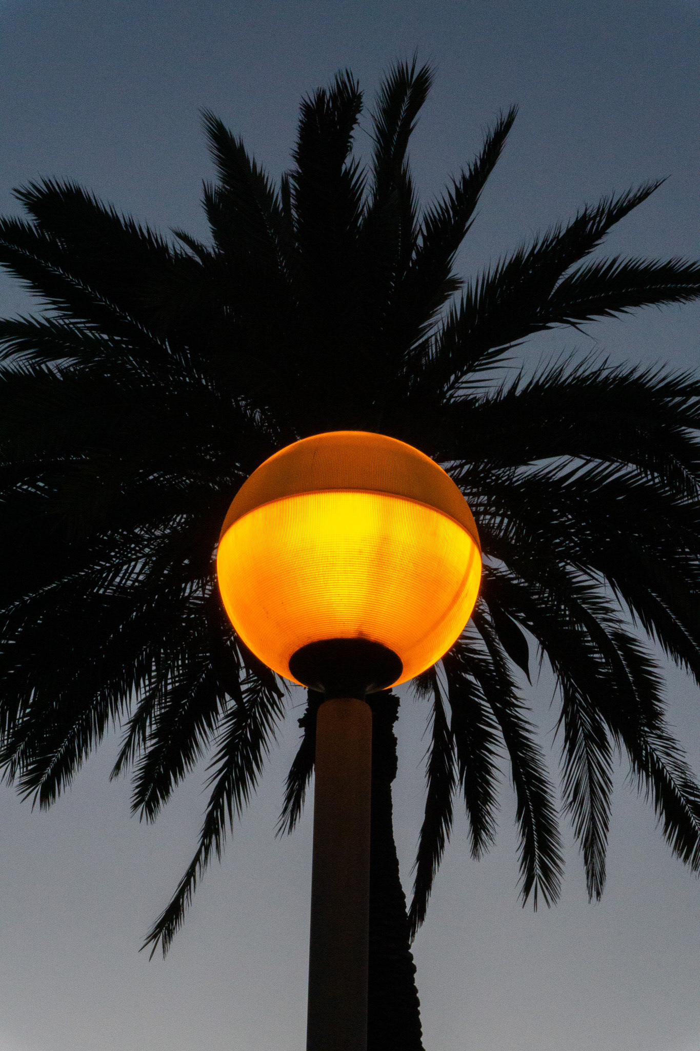 thePlaya for theBasement, May 2025 - Barcelona, ES