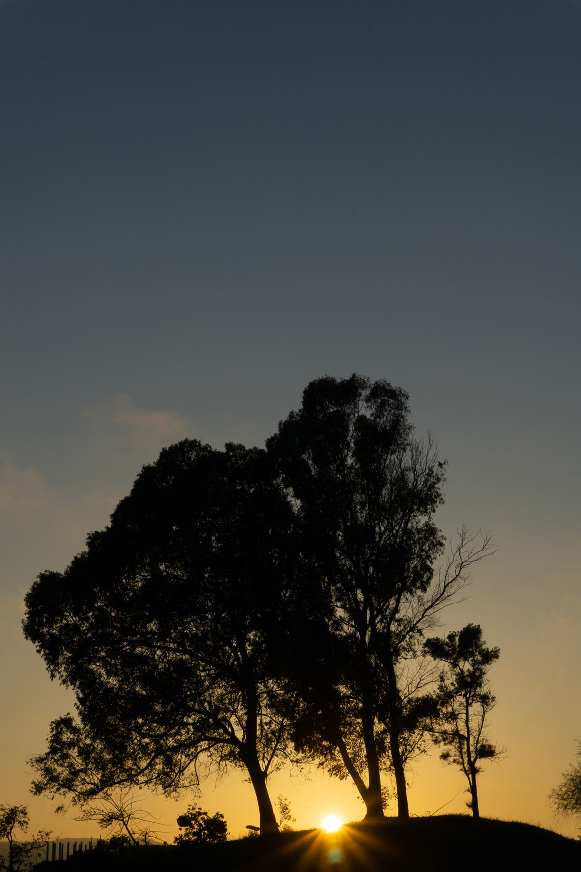 thePlaya for theBasement, May 2025 - Barcelona, ES