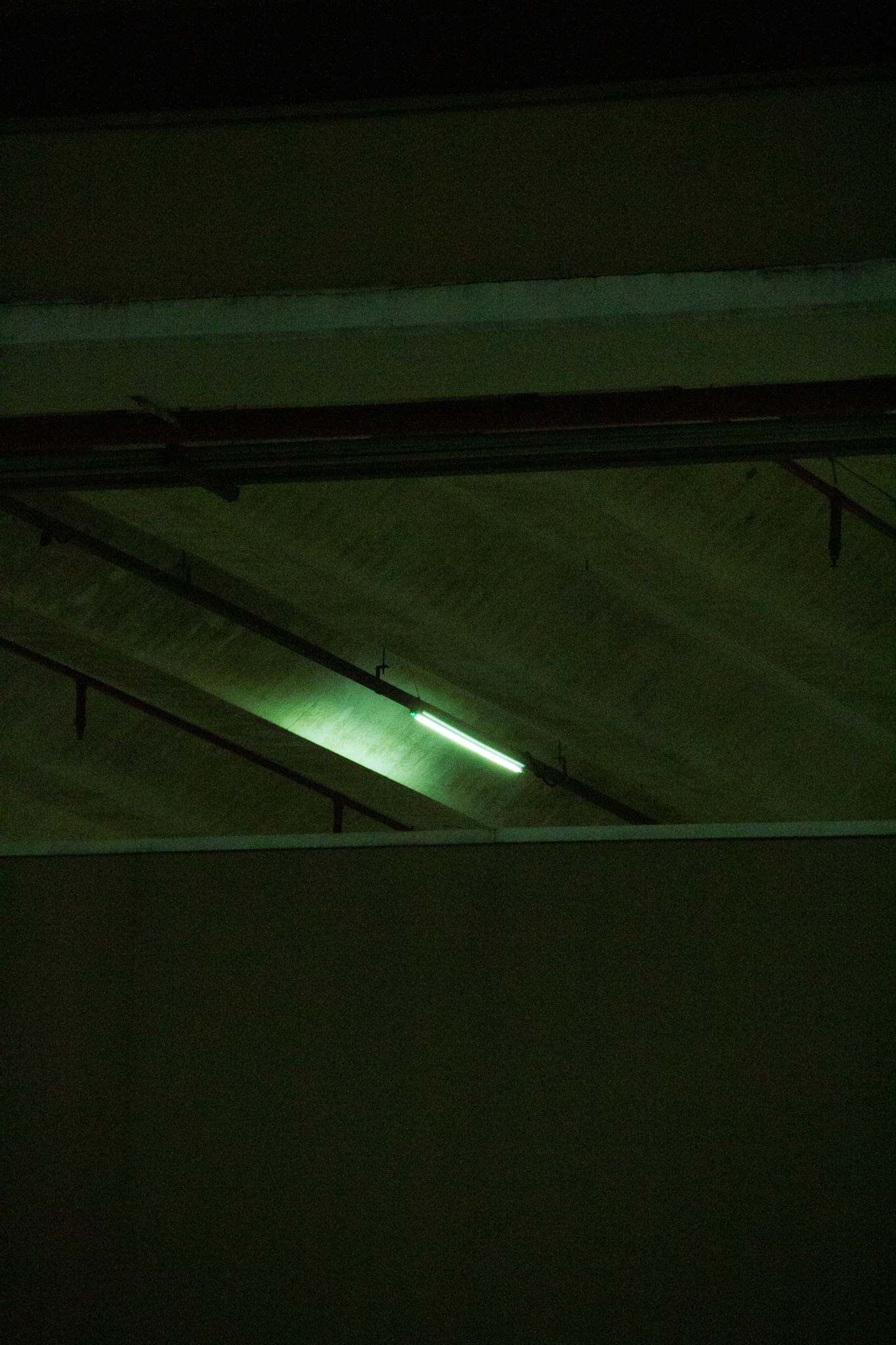 Acid Asian, July 2023 - São Paulo, BR