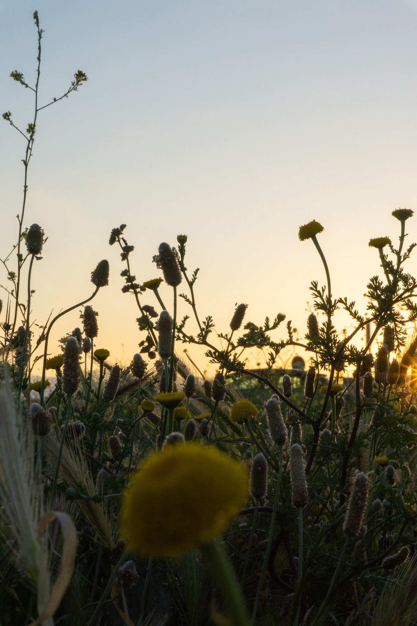 thePlaya for theBasement, May 2025 - Barcelona, ES