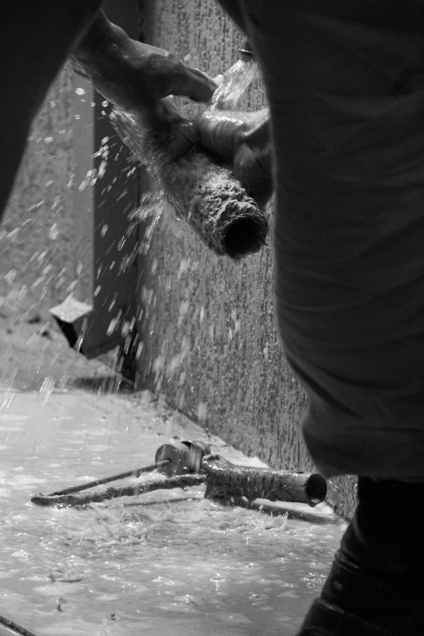 Starlane SP, March 2025 - São Paulo, BR