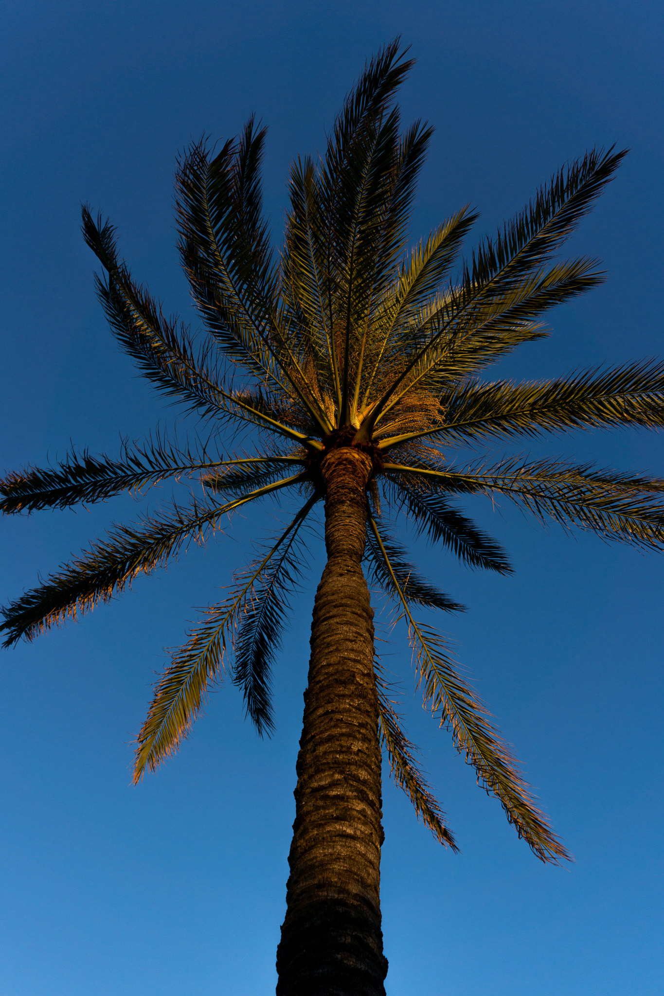 thePlaya for theBasement, May 2025 - Barcelona, ES