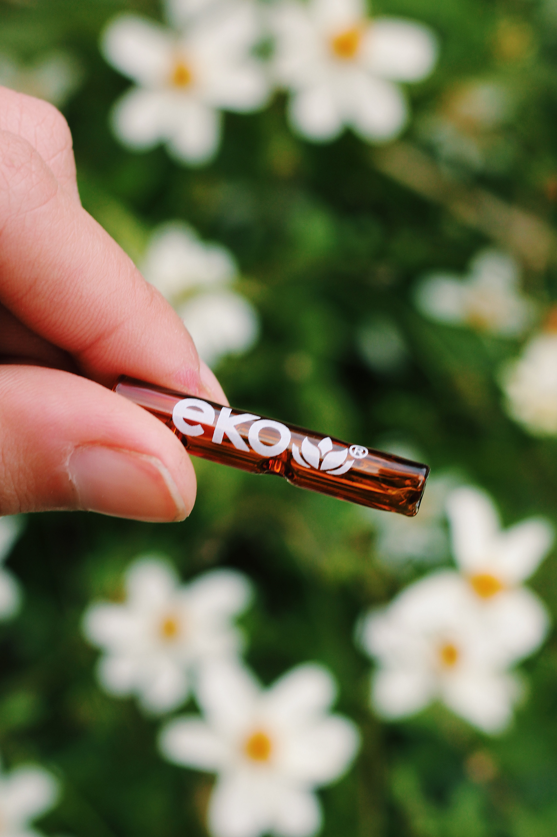 December 2020 for Ekopuffs Brasil - Barcelona, ES