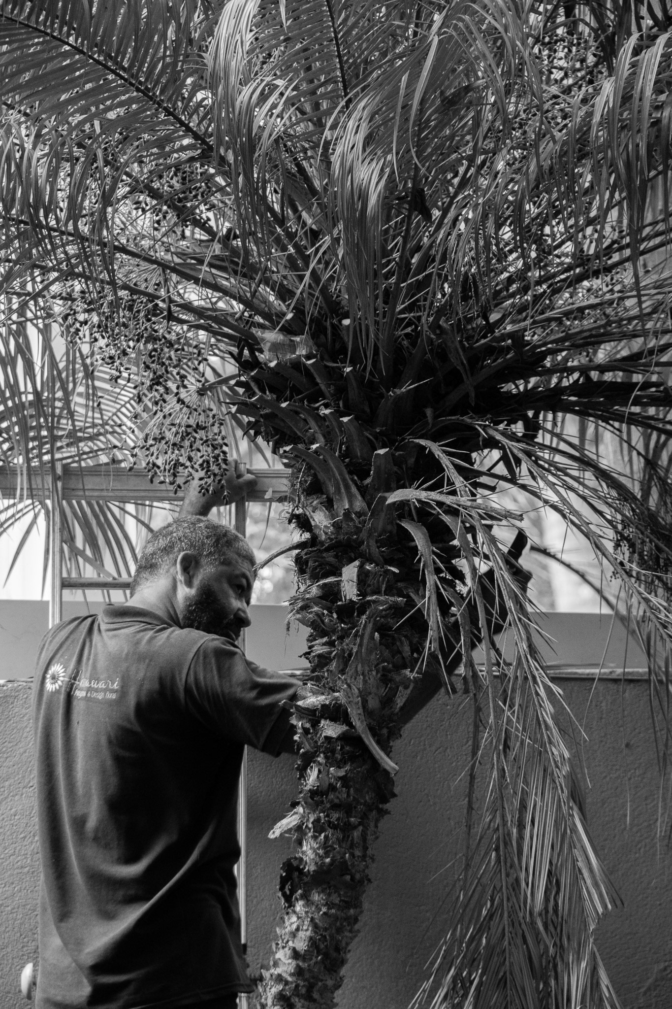 Starlane SP, March 2025 - São Paulo, BR