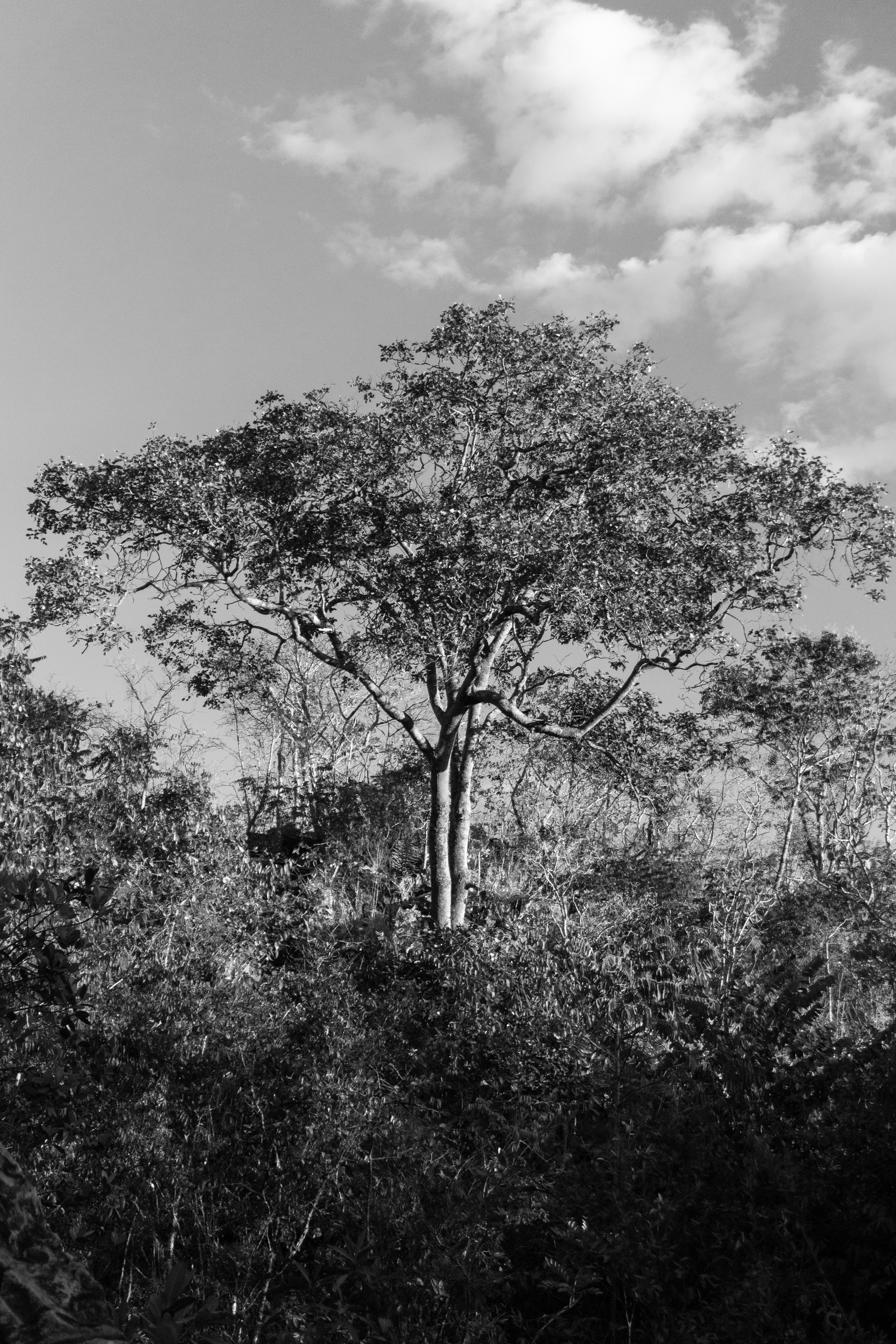 August 2025 - Chapada dos Veadeiros, BR